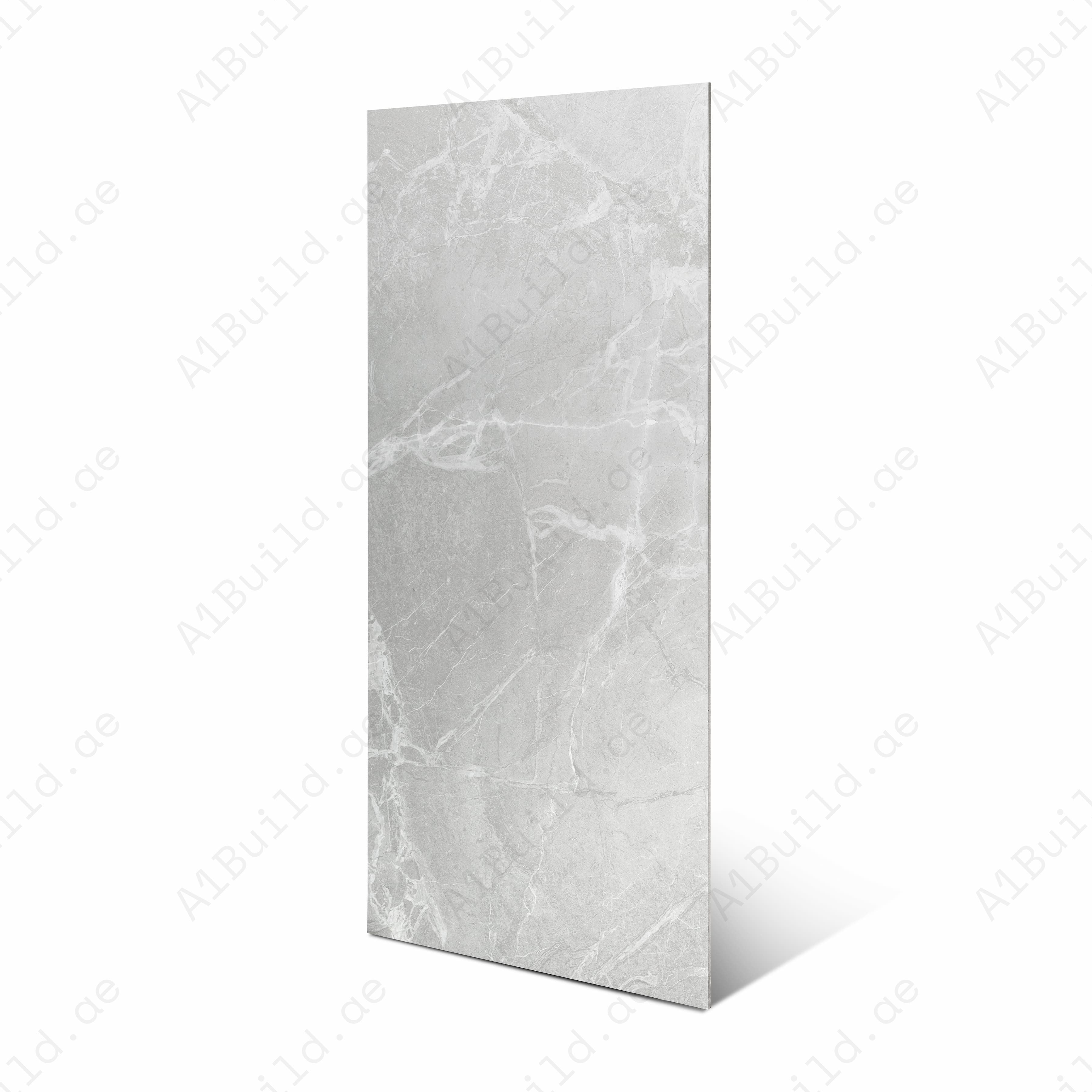 BRGris Light Grey Matte Porcelain Tile 60x120cm | Silver White Veined Marble Look Large Format | Contemporary Floor & Wall Tile UAE