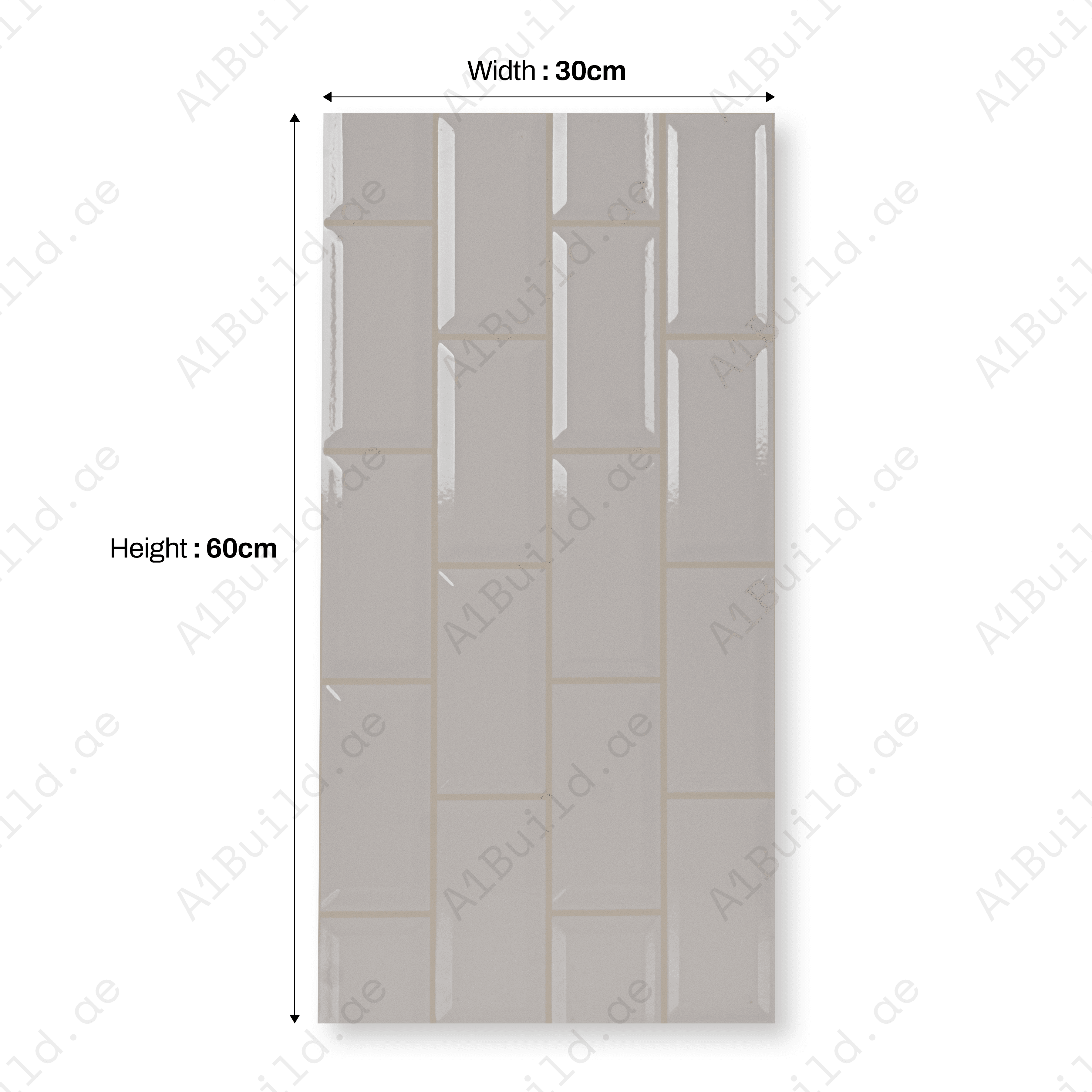 White 25L Civory 30x60cm 09mm Porcelain Tile