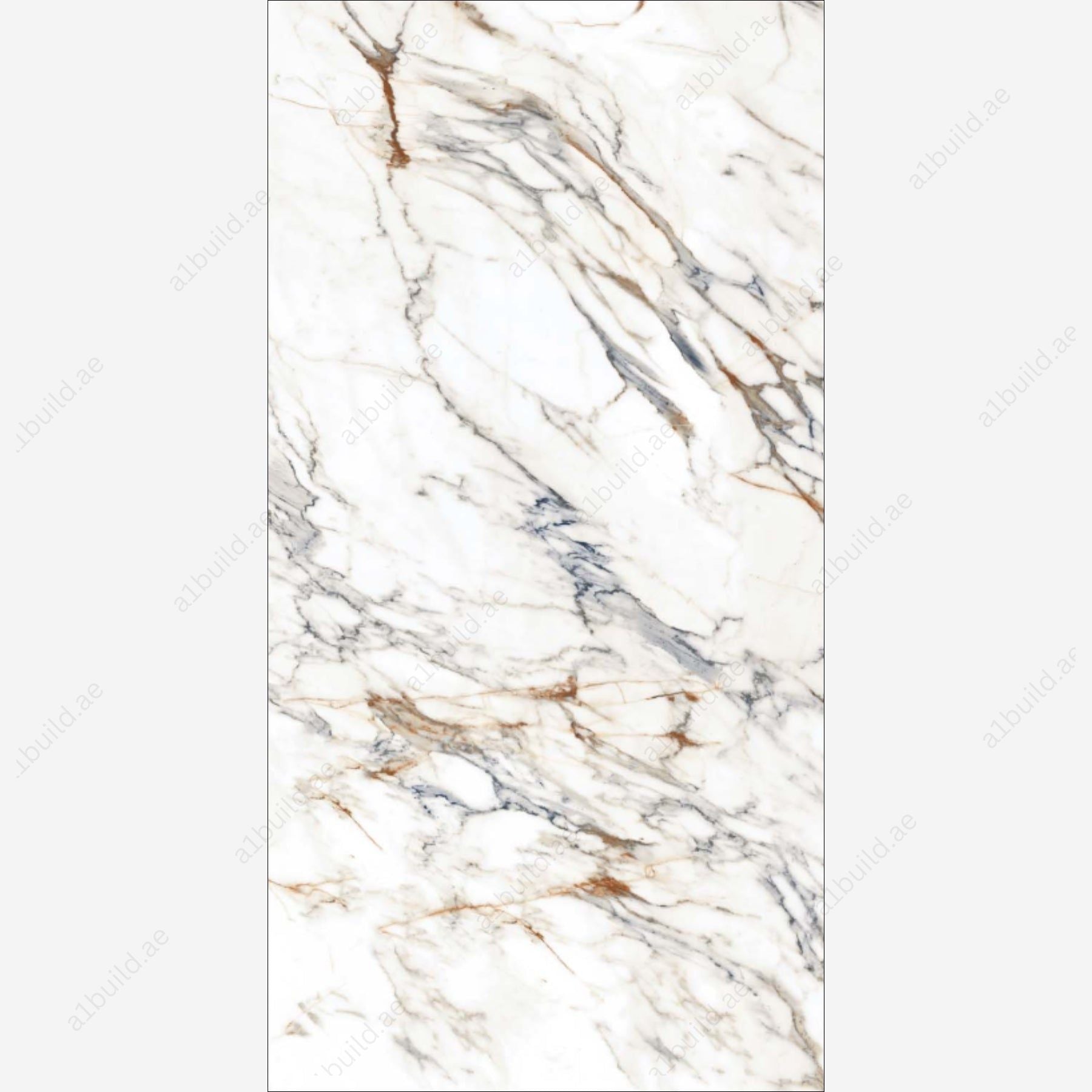 Aristo Statuario (80x160cm 09mm random Polished indoor floor & wall tiles)