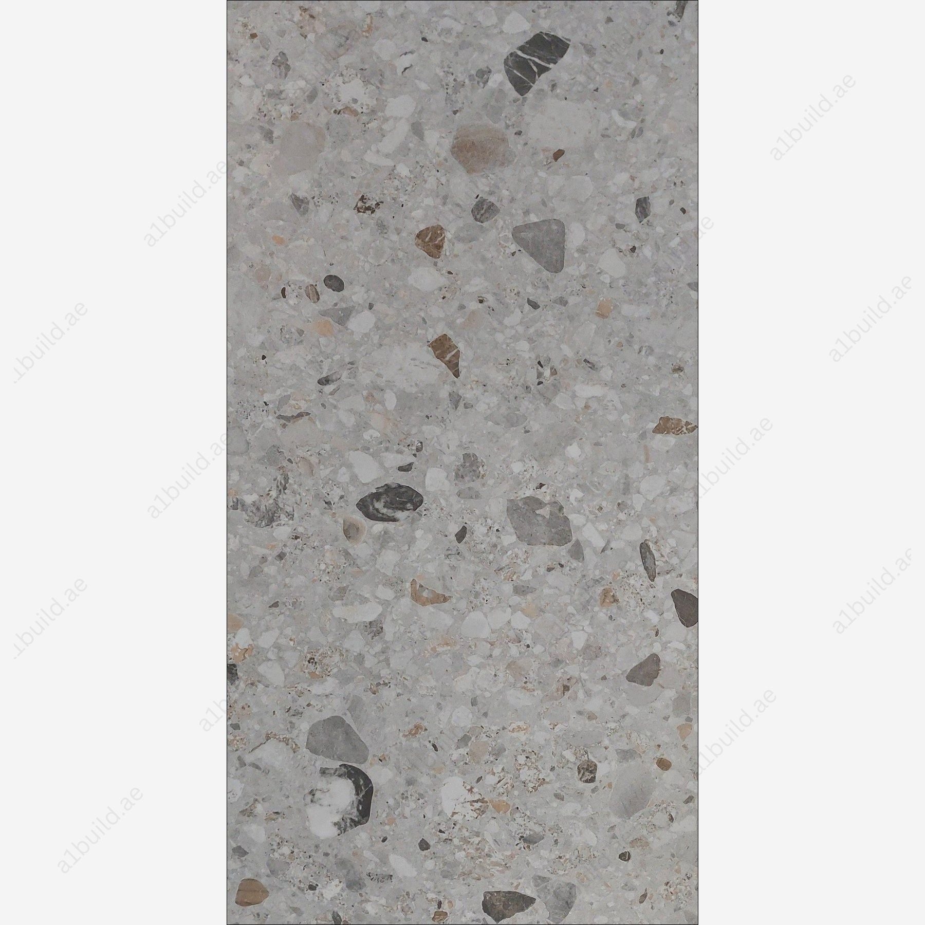 Terazo Grey (80x160cm 09mm random matt indoor floor & wall tiles)