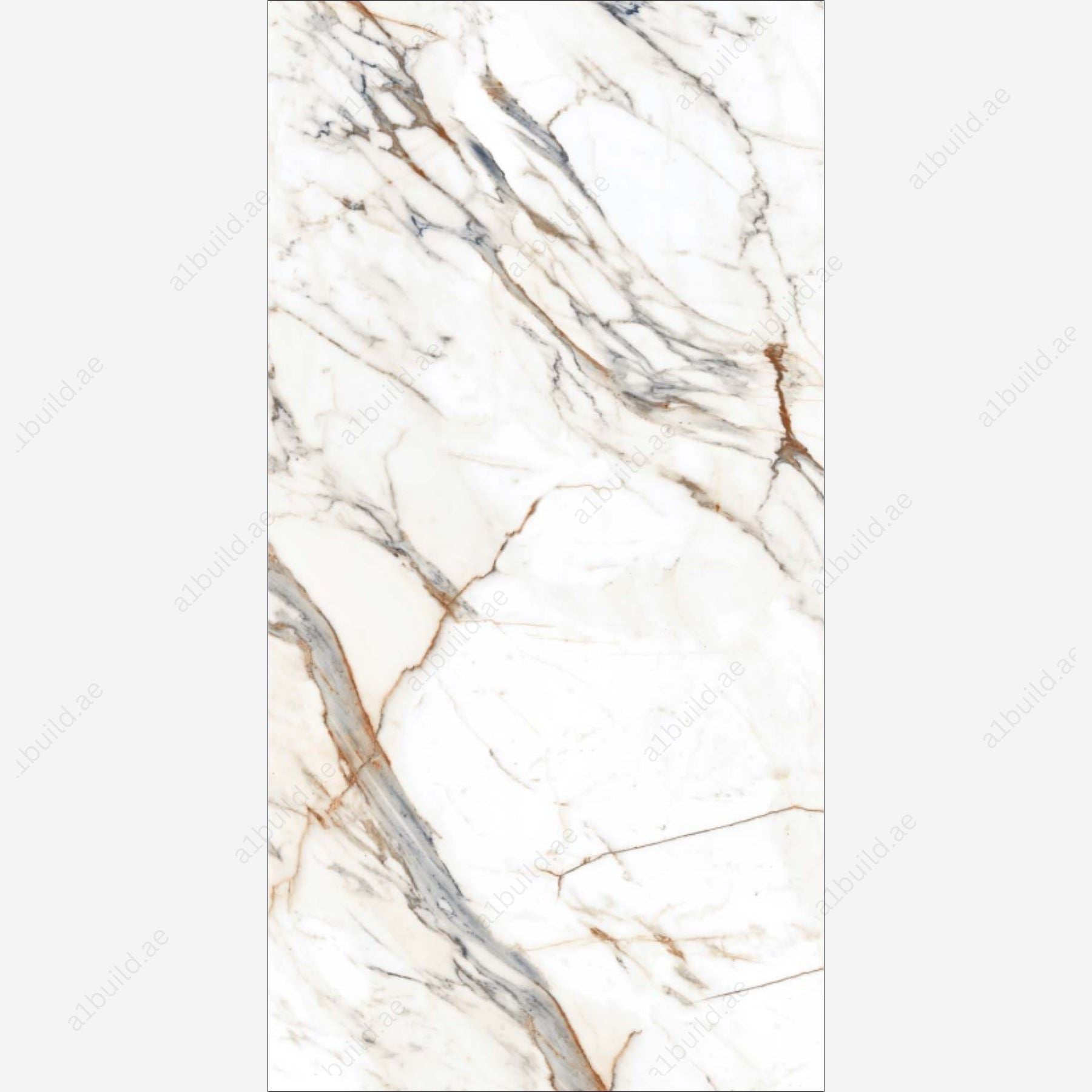 Aristo Statuario (80x160cm 09mm random Polished indoor floor & wall tiles)