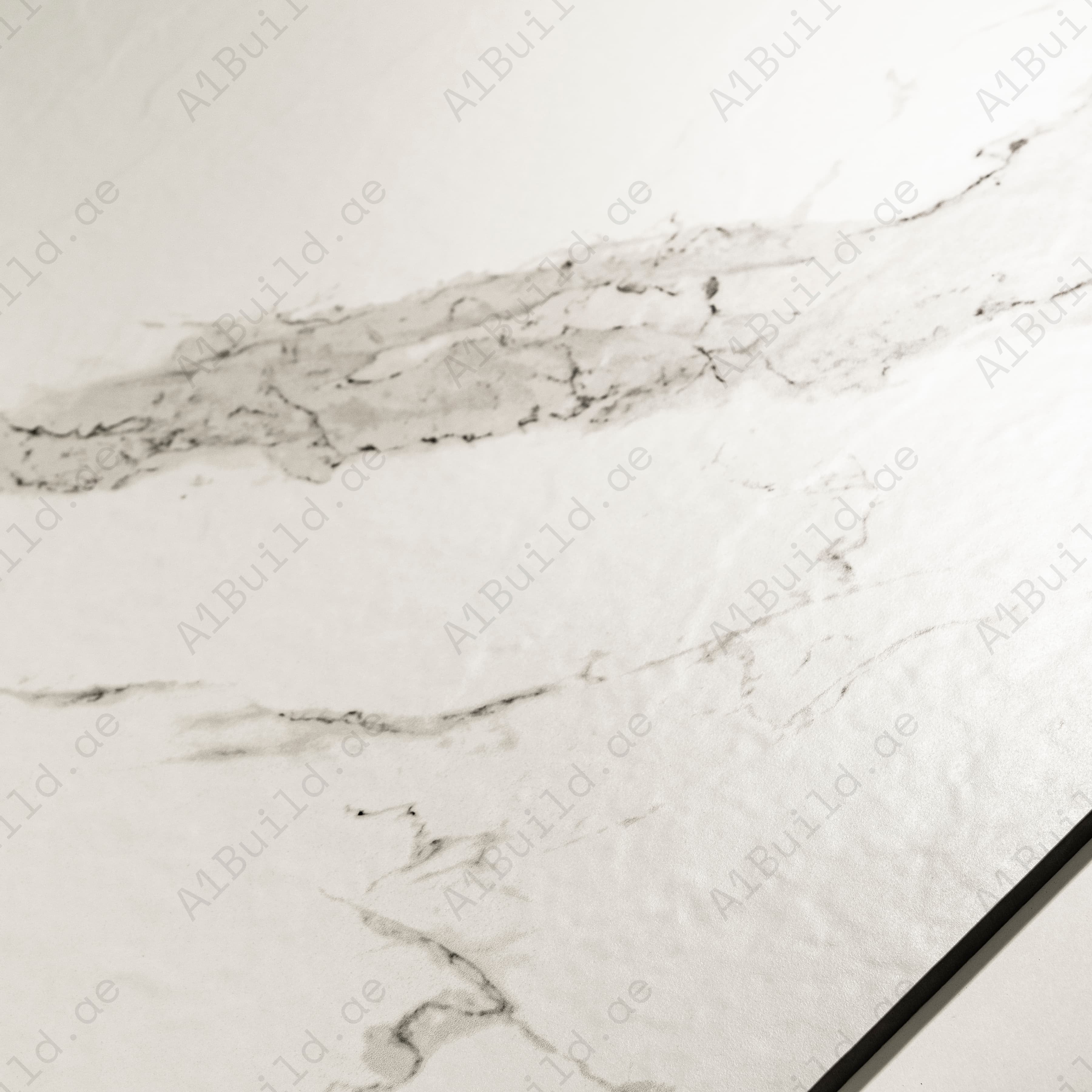 Carrara Polaris White Matte Porcelain Tile 60x120cm | Statuario Marble Look Large Format | Premium Floor & Wall Tile UAE
