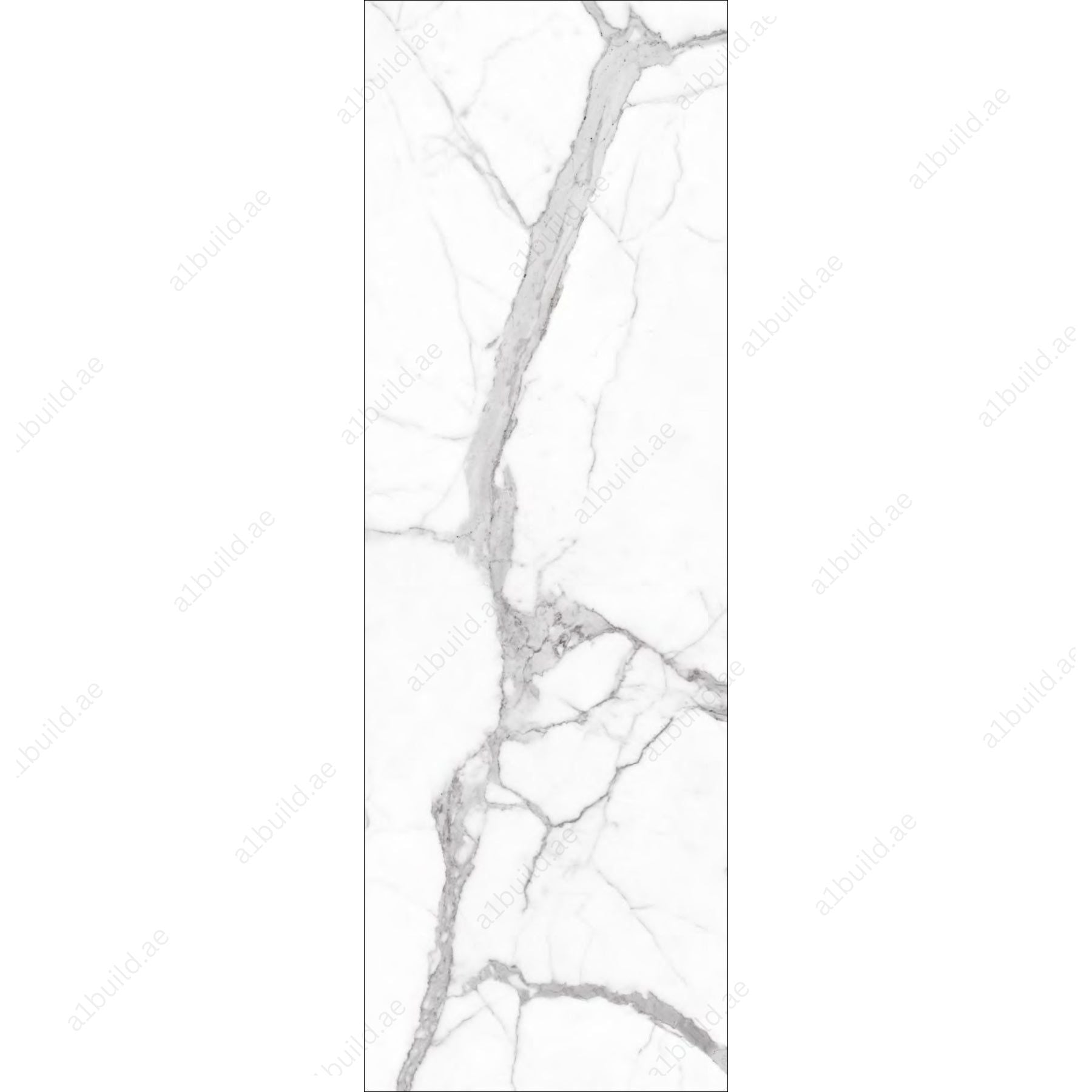 Alps Statuario (80x240cm 15mm Random Polished Finish Indoor Floor, Wall & Counter Slabs)