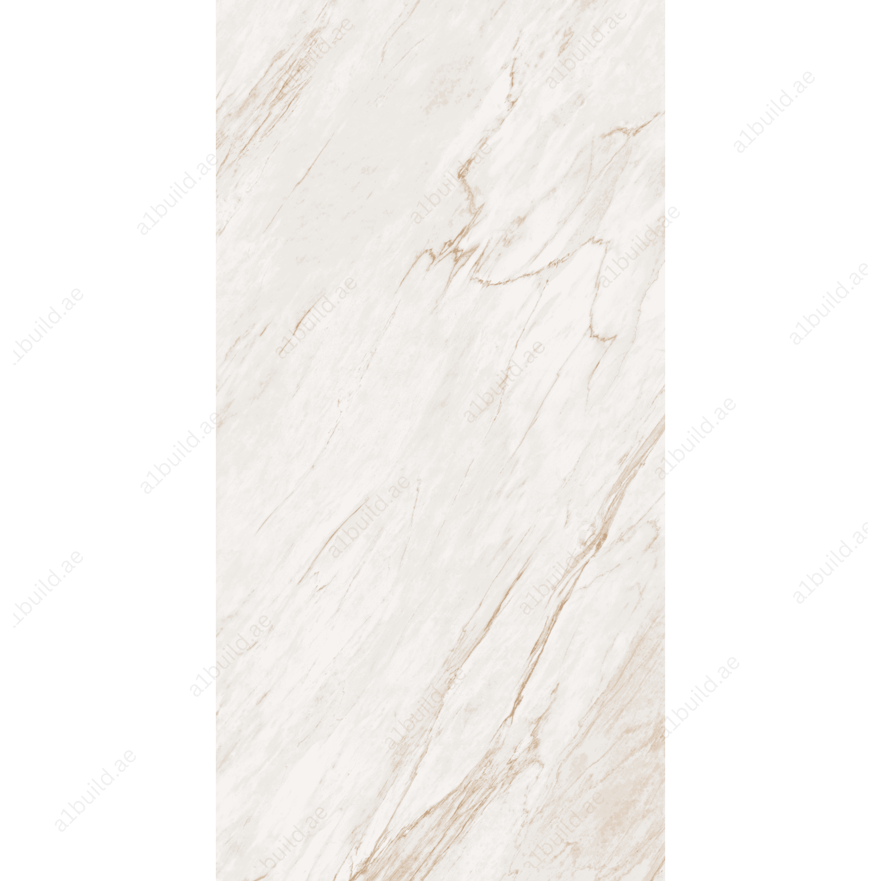 Angelo Ice High Gloss Book Match Porcelain Slabs | 120x240cm Indoor Tiles