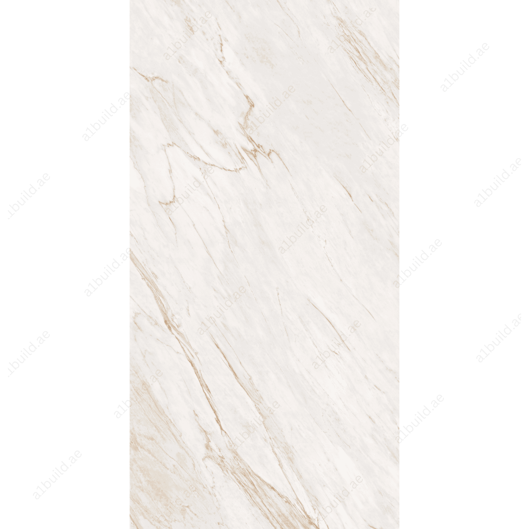 Angelo Ice High Gloss Book Match Porcelain Slabs | 120x240cm Indoor Tiles