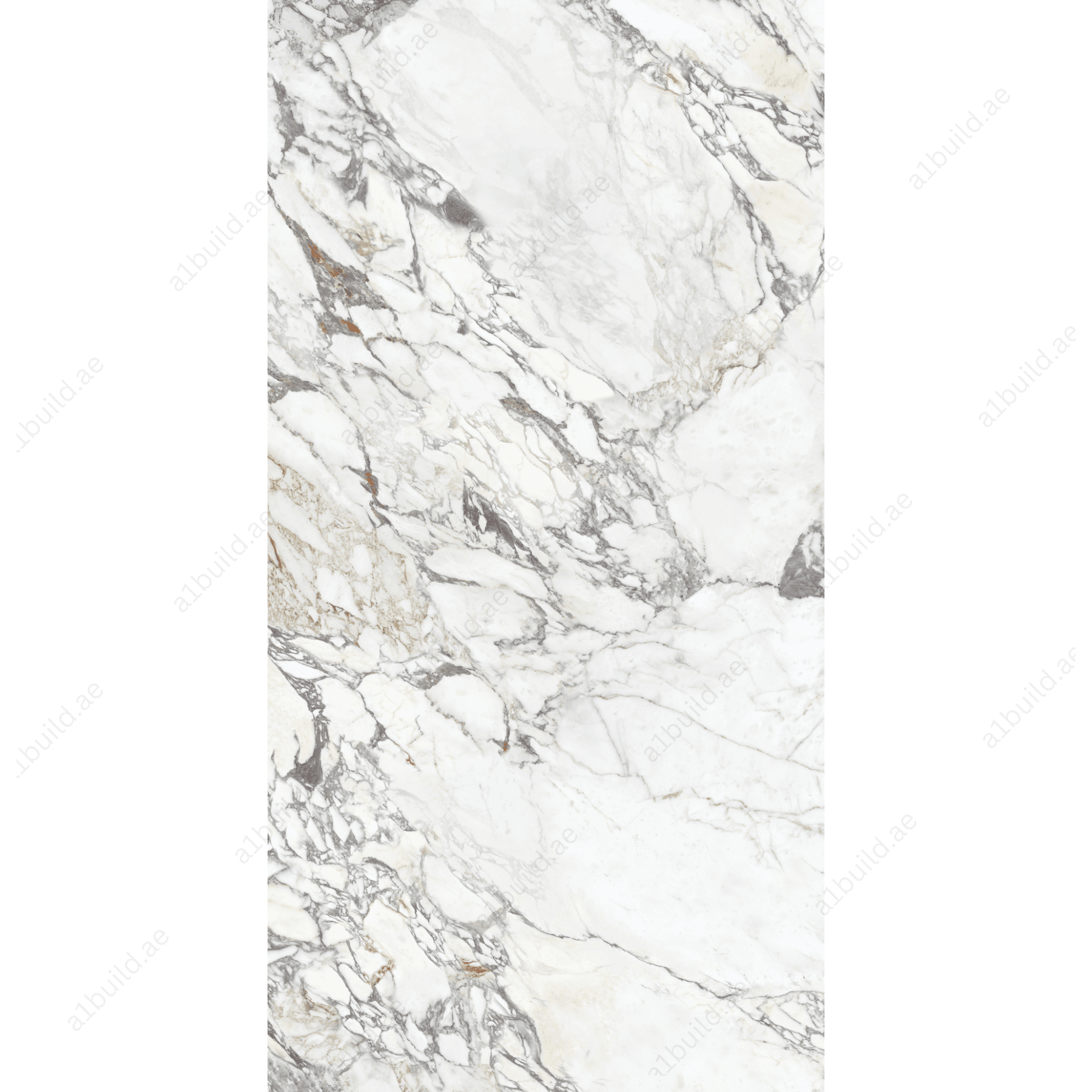 Arbescato (120X278cm High Gloss Book Match Porcelain Slabs)