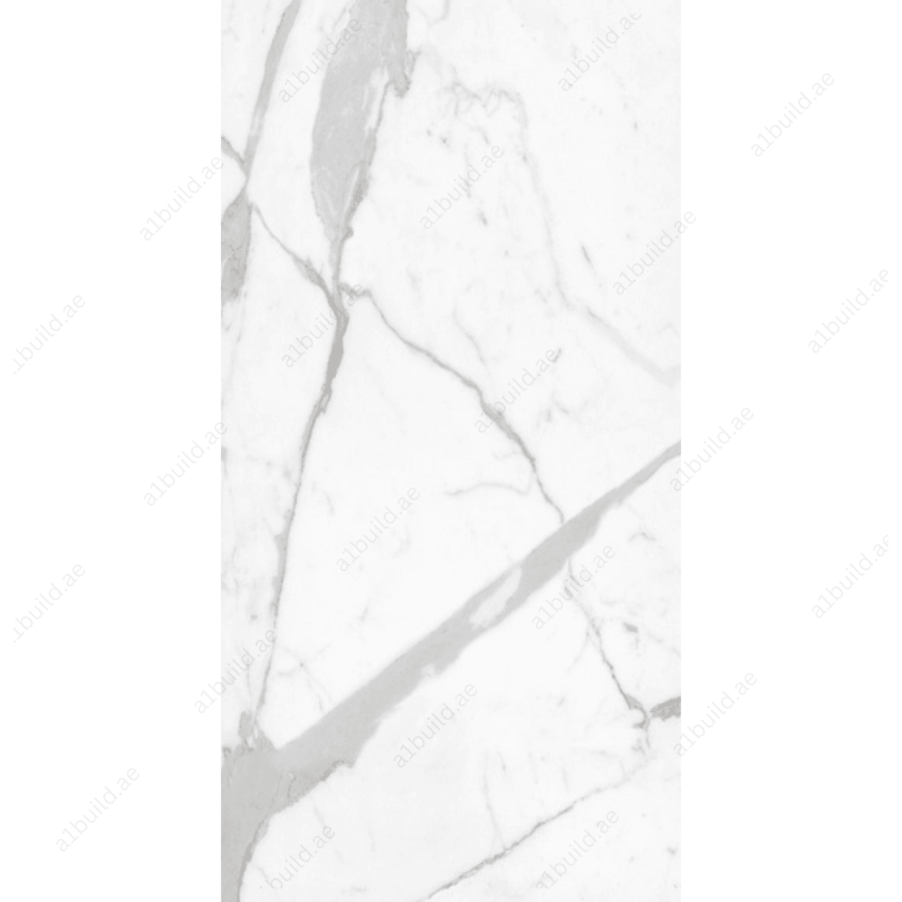 Arbescato Bianco High Gloss Book Match Porcelain Slabs | 120x240cm Elegant Tiles