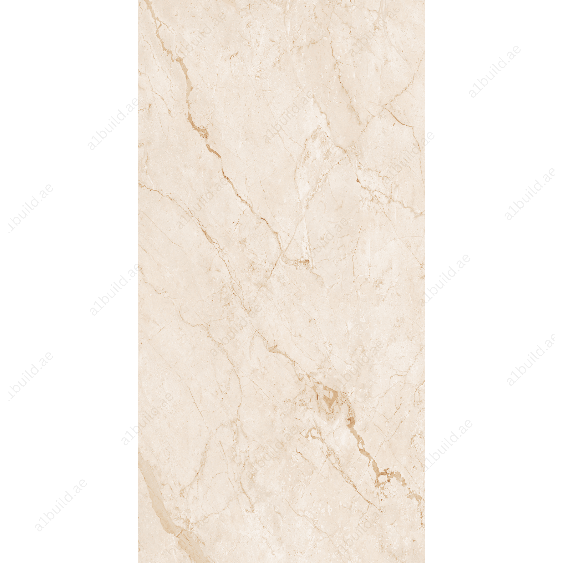 Breccia Oyster High Gloss Book Match Porcelain Slabs | 120x240cm Luxurious Beige Tiles