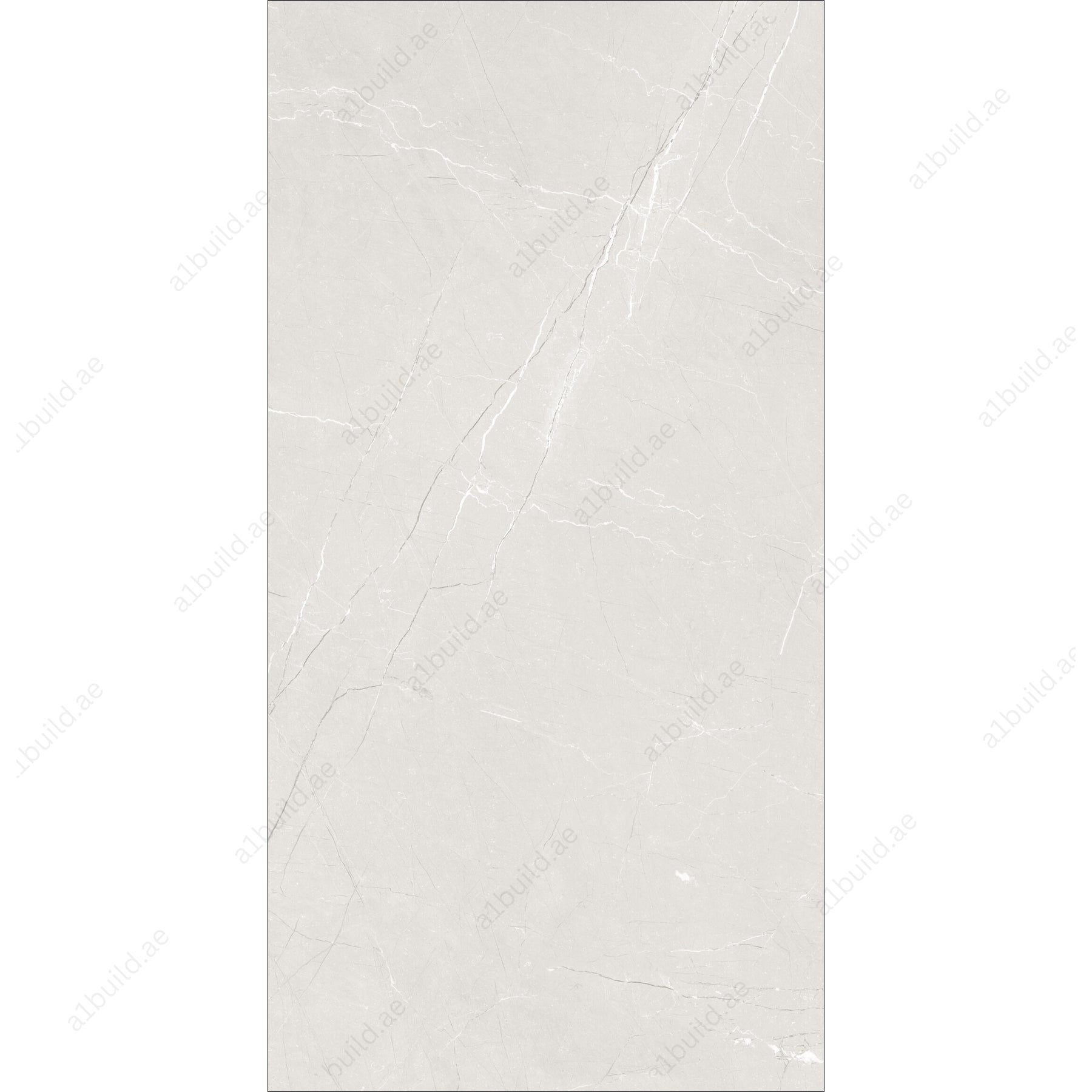 Brio Bianco (60X120cm 09mm Random Satin Matt Finish Porcelain Indoor Floor & Wall Tiles)