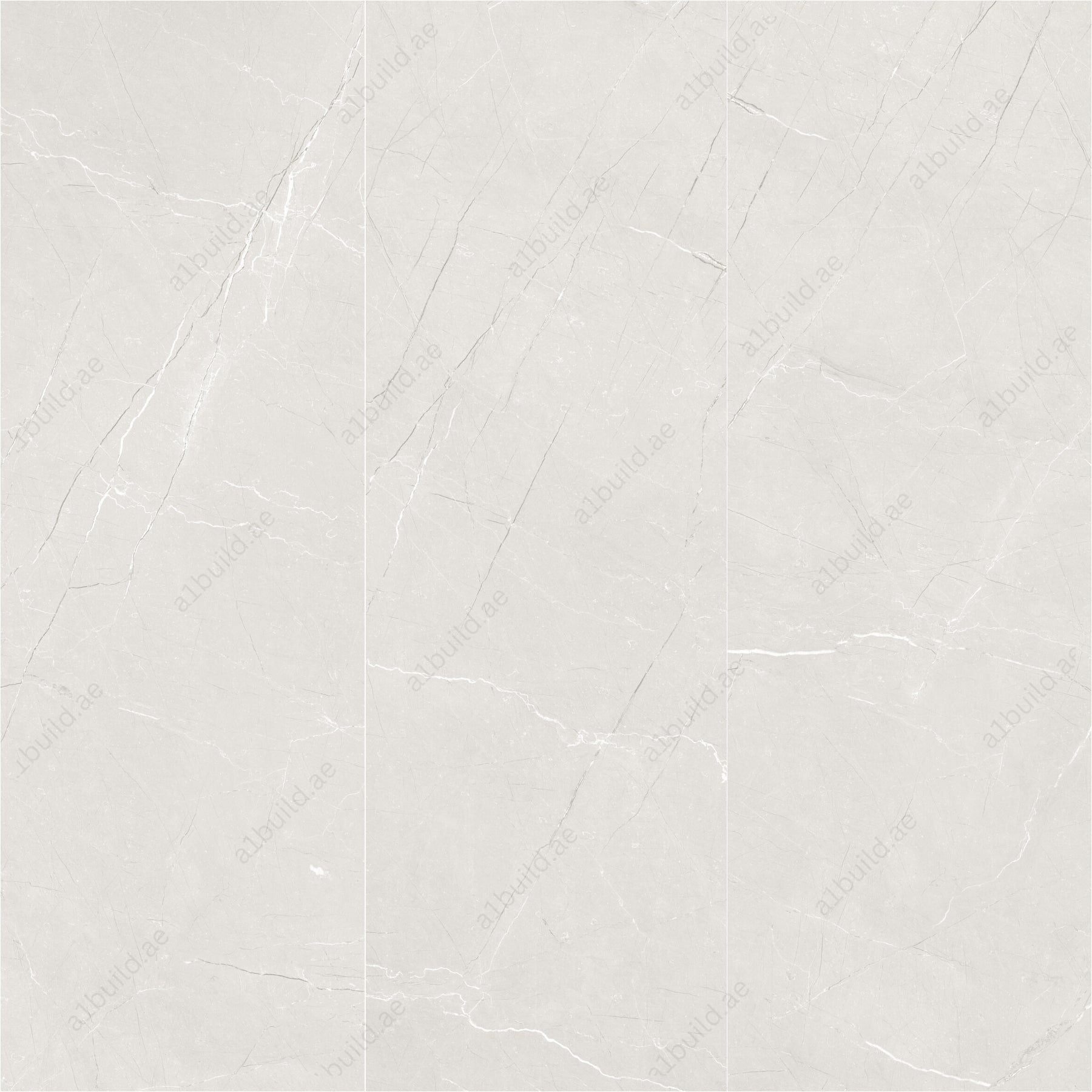 Brio Bianco (60X120cm 09mm Random Satin Matt Finish Porcelain Indoor Floor & Wall Tiles)