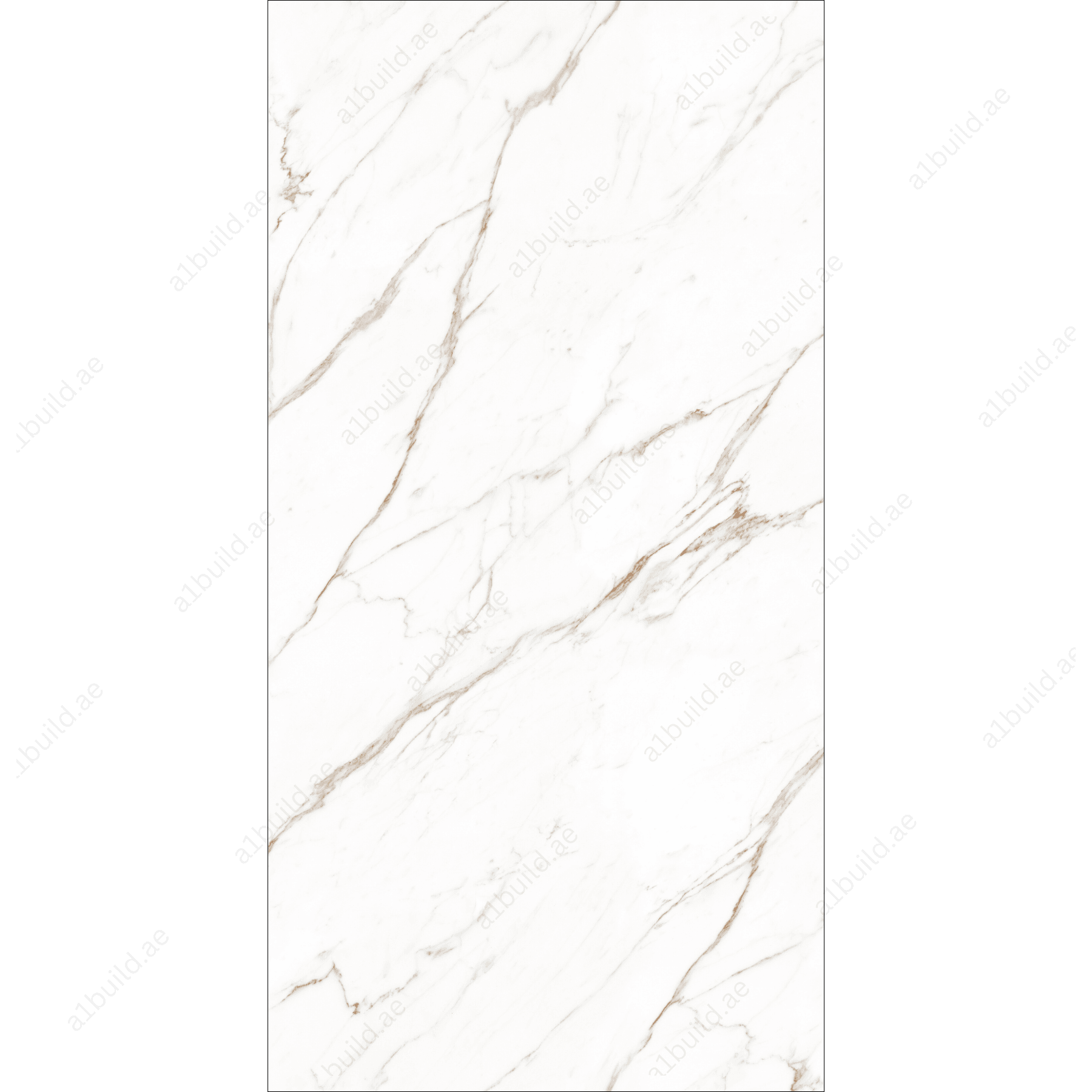 Calacatta Light (120X278cm High Gloss Book Match Porcelain Slabs)