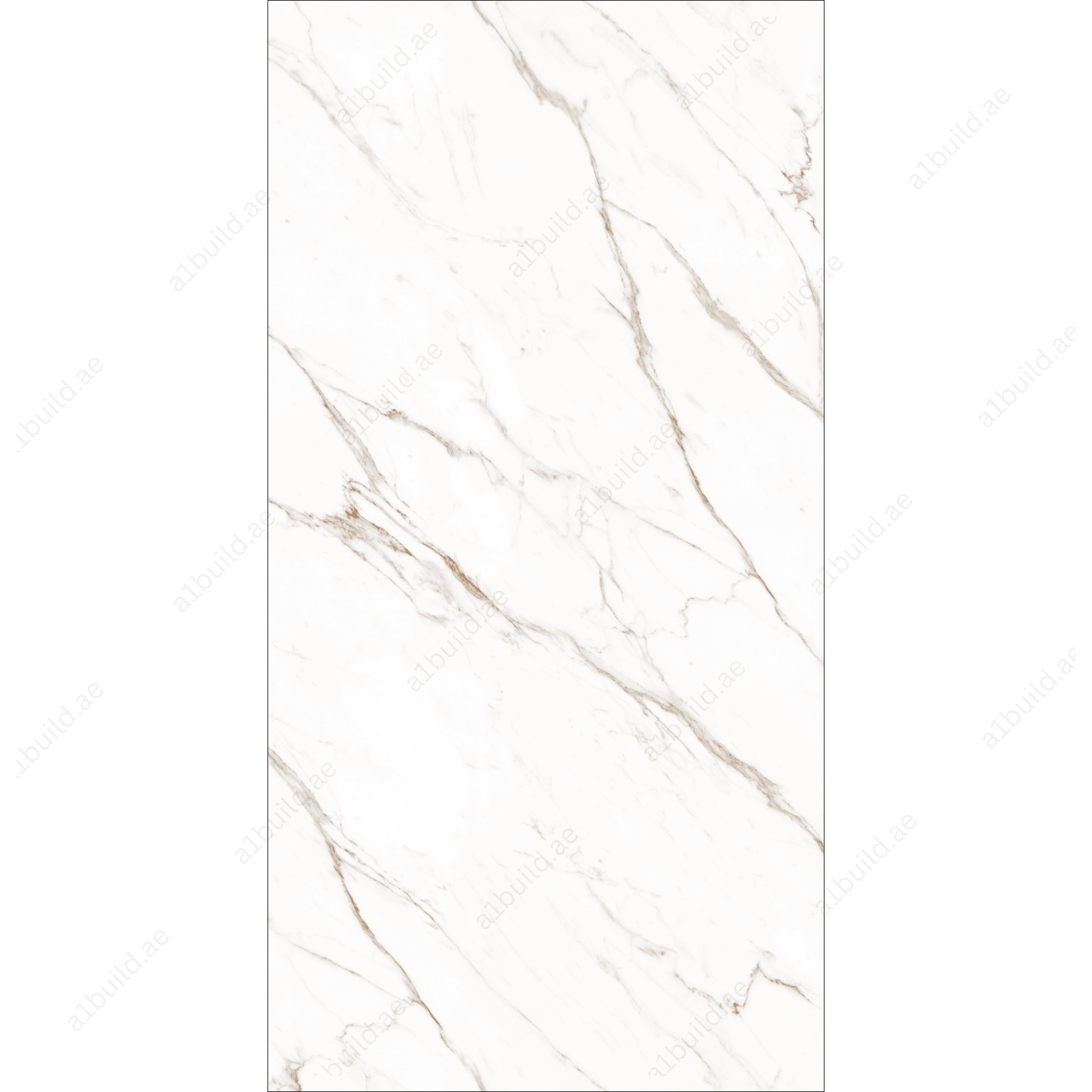 Calacatta Light (120X278cm High Gloss Book Match Porcelain Slabs)