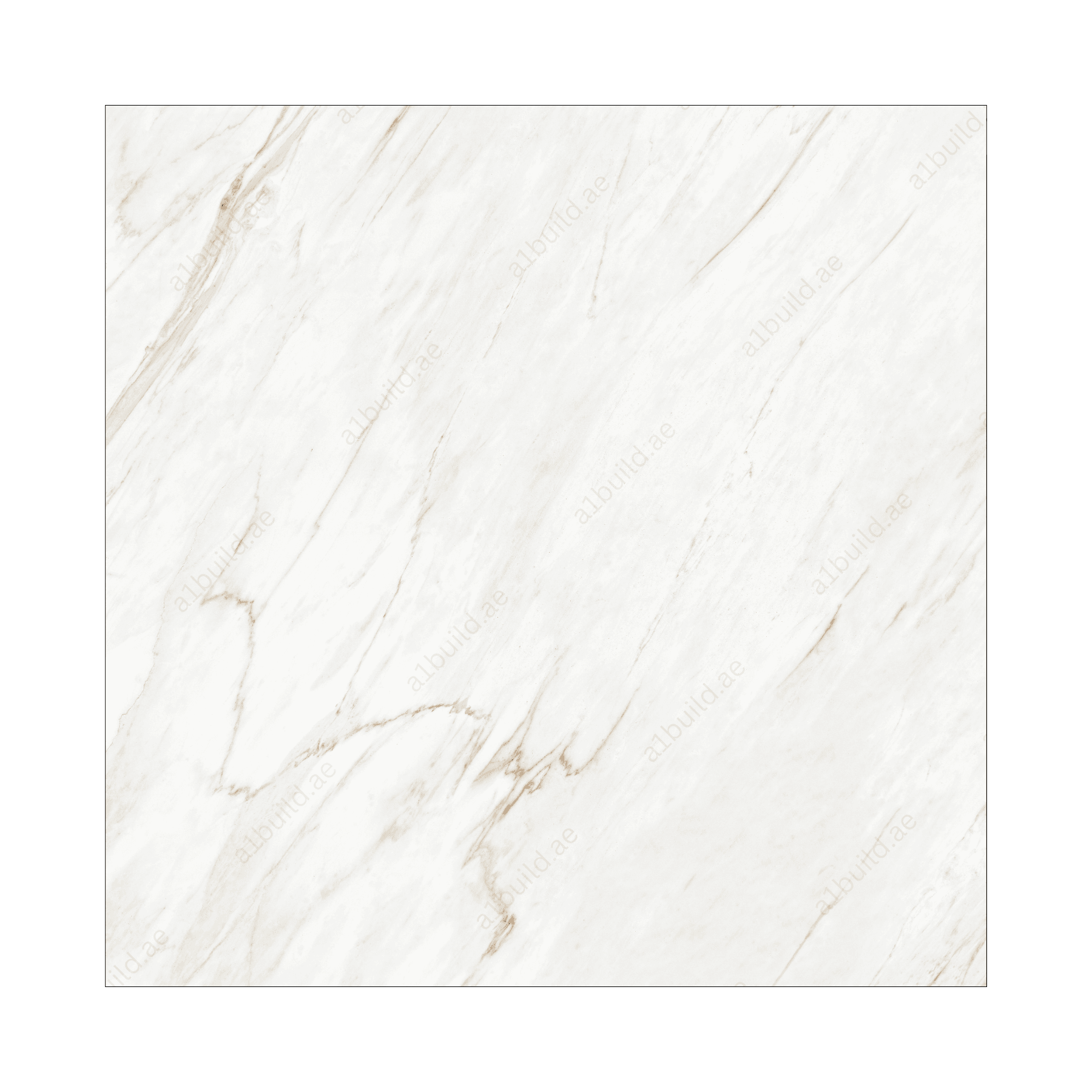 Cavallo (120X120cm 09mm Random Polished Porcelain Tiles for Indoor Spaces)