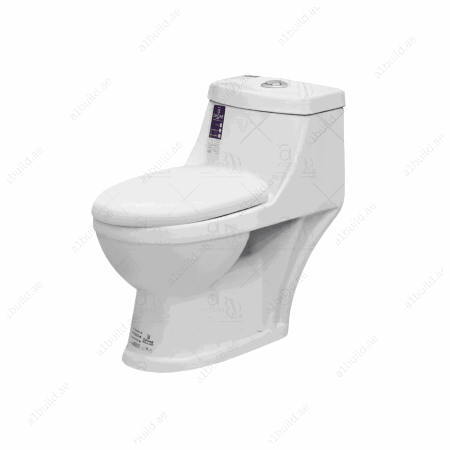 DurableWhiteWaterClosetwith250mmS-TrapforModernBathrooms_2