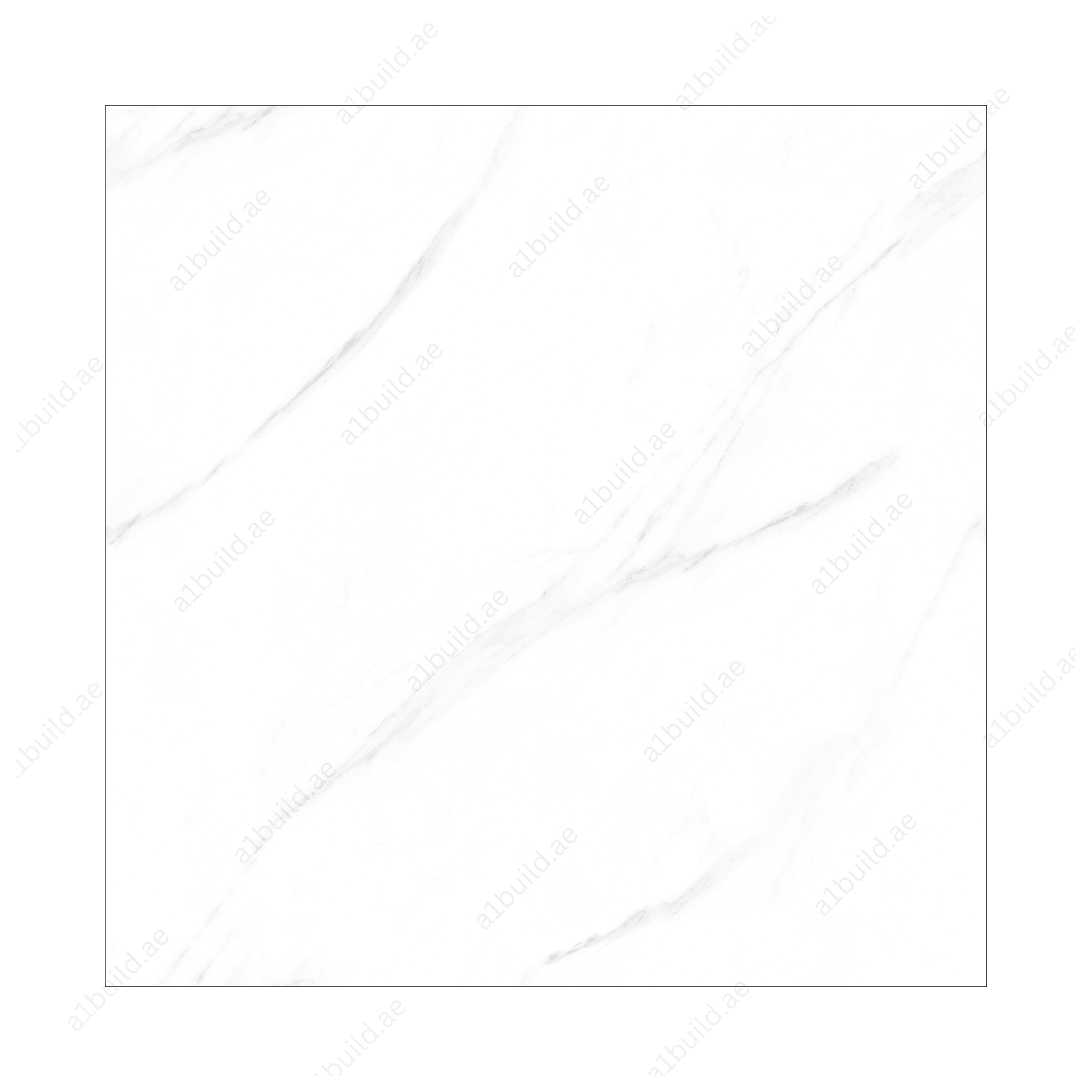 Elite White (120X120cm 09mm Random Polished Porcelain Tiles for Indoor Spaces)