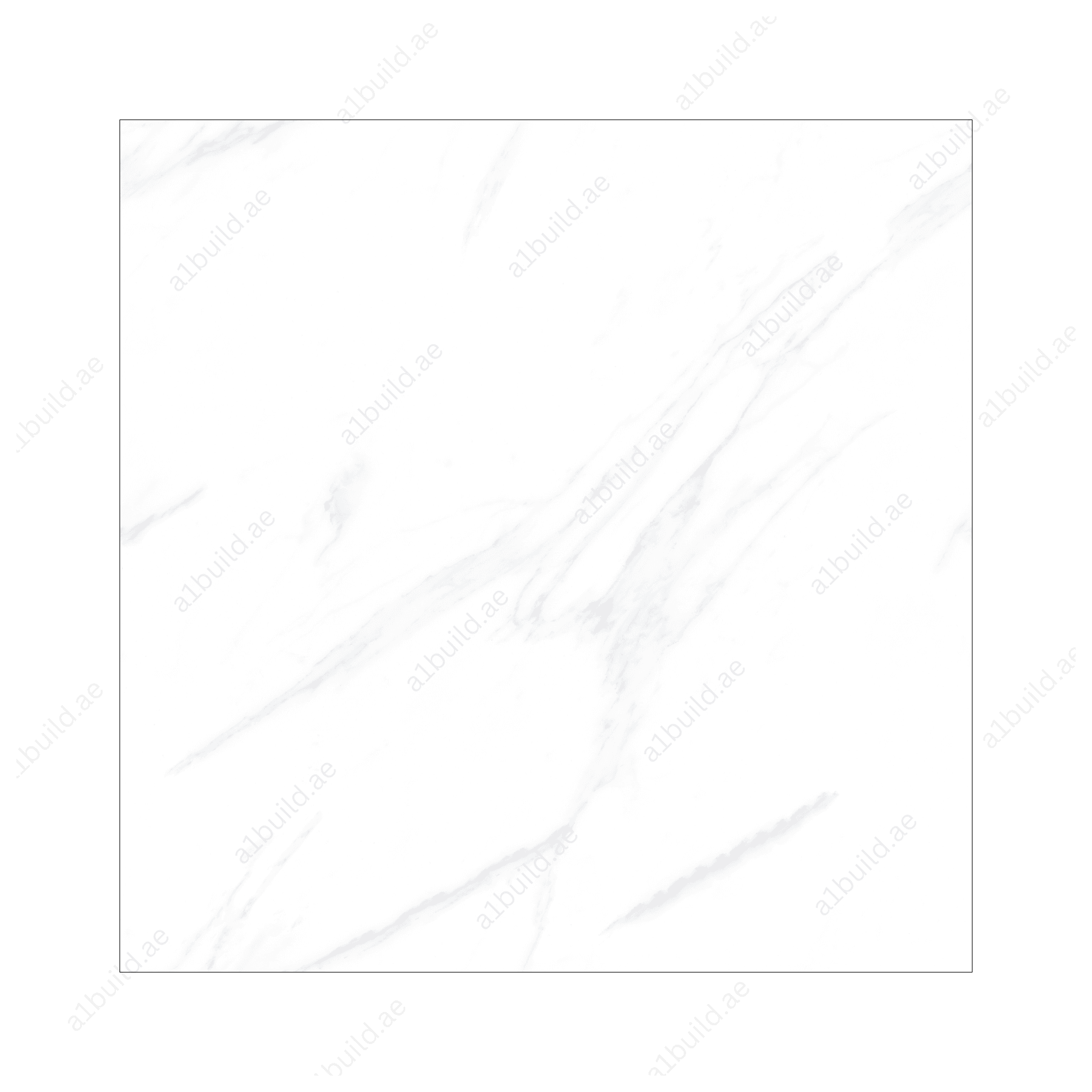 Elite White (120X120cm 09mm Random Polished Porcelain Tiles for Indoor Spaces)