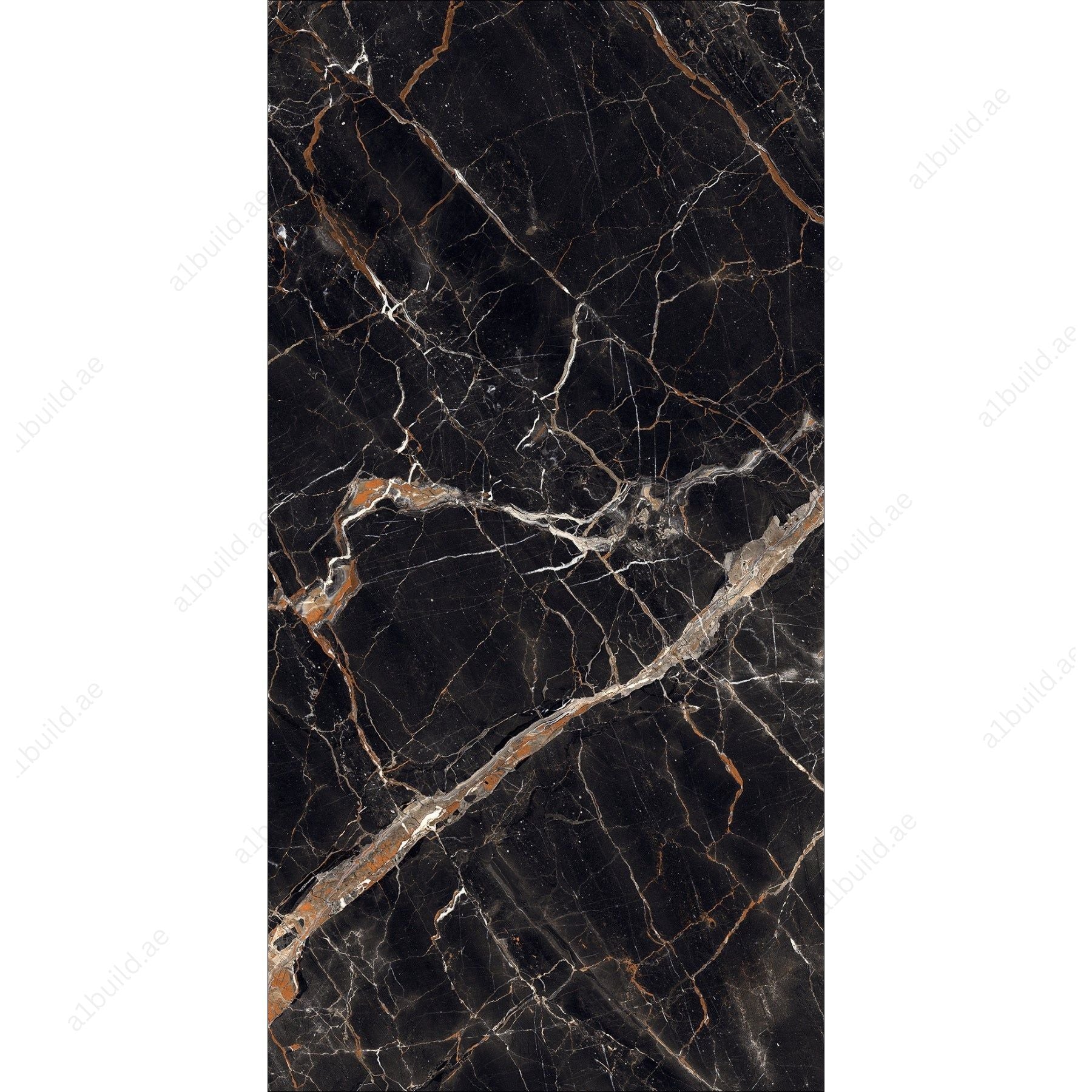 Estrada Nero (60X120cm 09mm Random High Gloss Porcelain Indoor Floor & Wall Tiles)