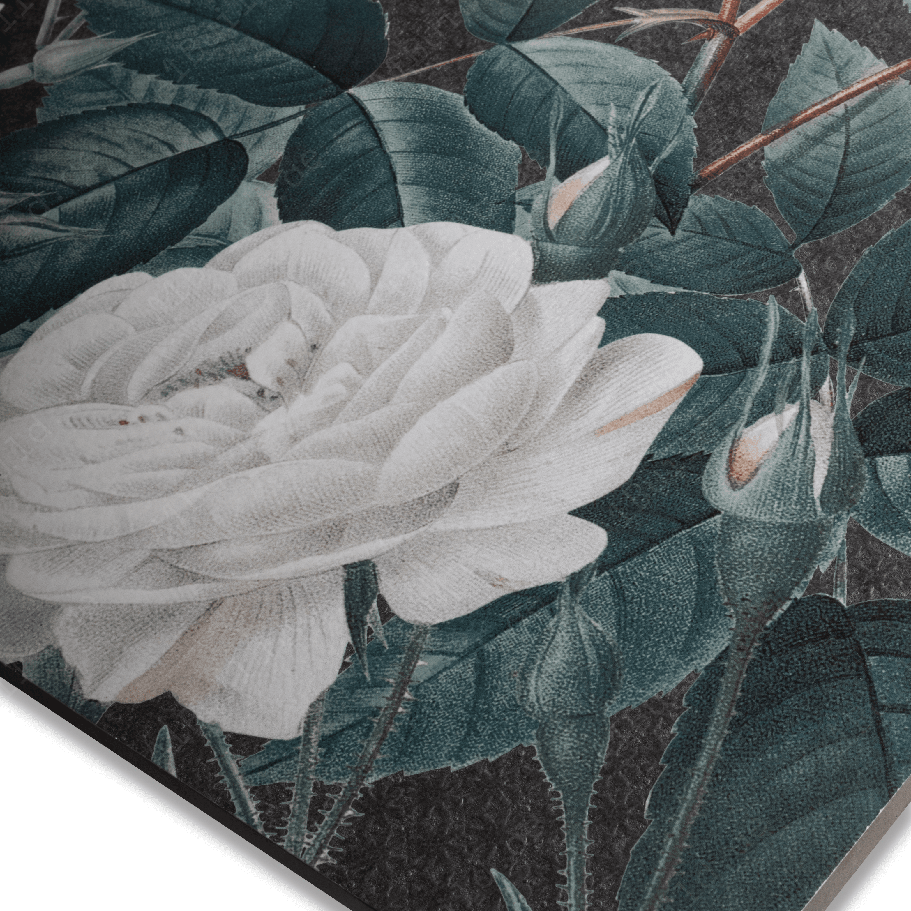 Fesco A & B White Porcelain Tile 60x120cm with Crafttech finish. Durable 9mm thickness, stylish and easy to maintain. Perfect for walls and floors