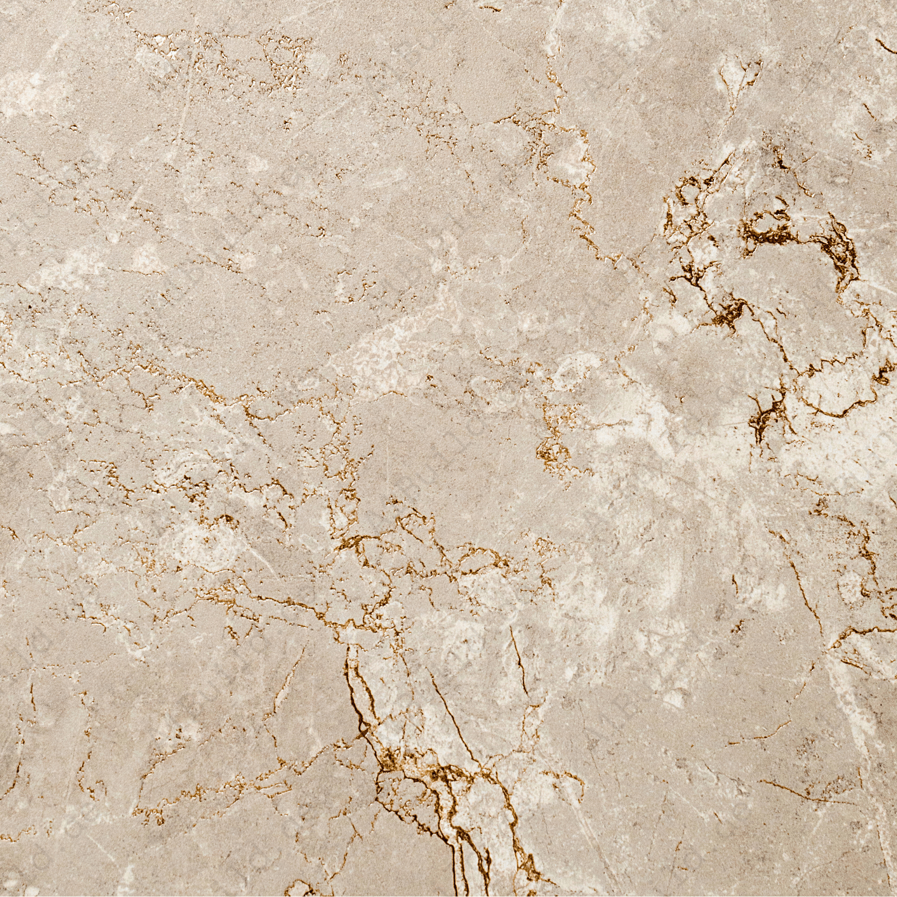 Harmony Dove Matt Tiles 60x120cm - Rocker Carving for Elegant Spaces