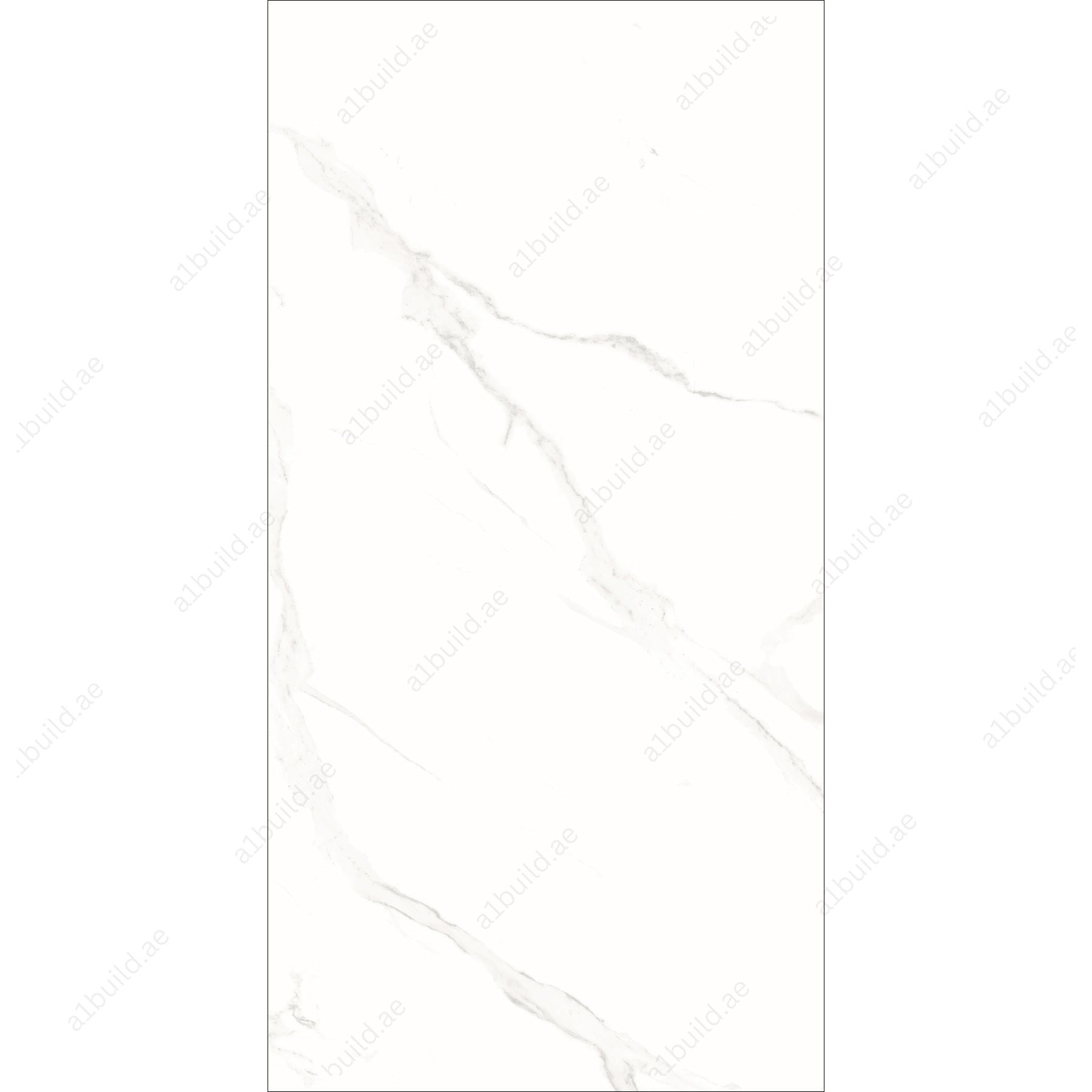 Keros Statuario (60X120cm 09mm Random Matt Finish Porcelain Indoor Floor & Wall Tiles)