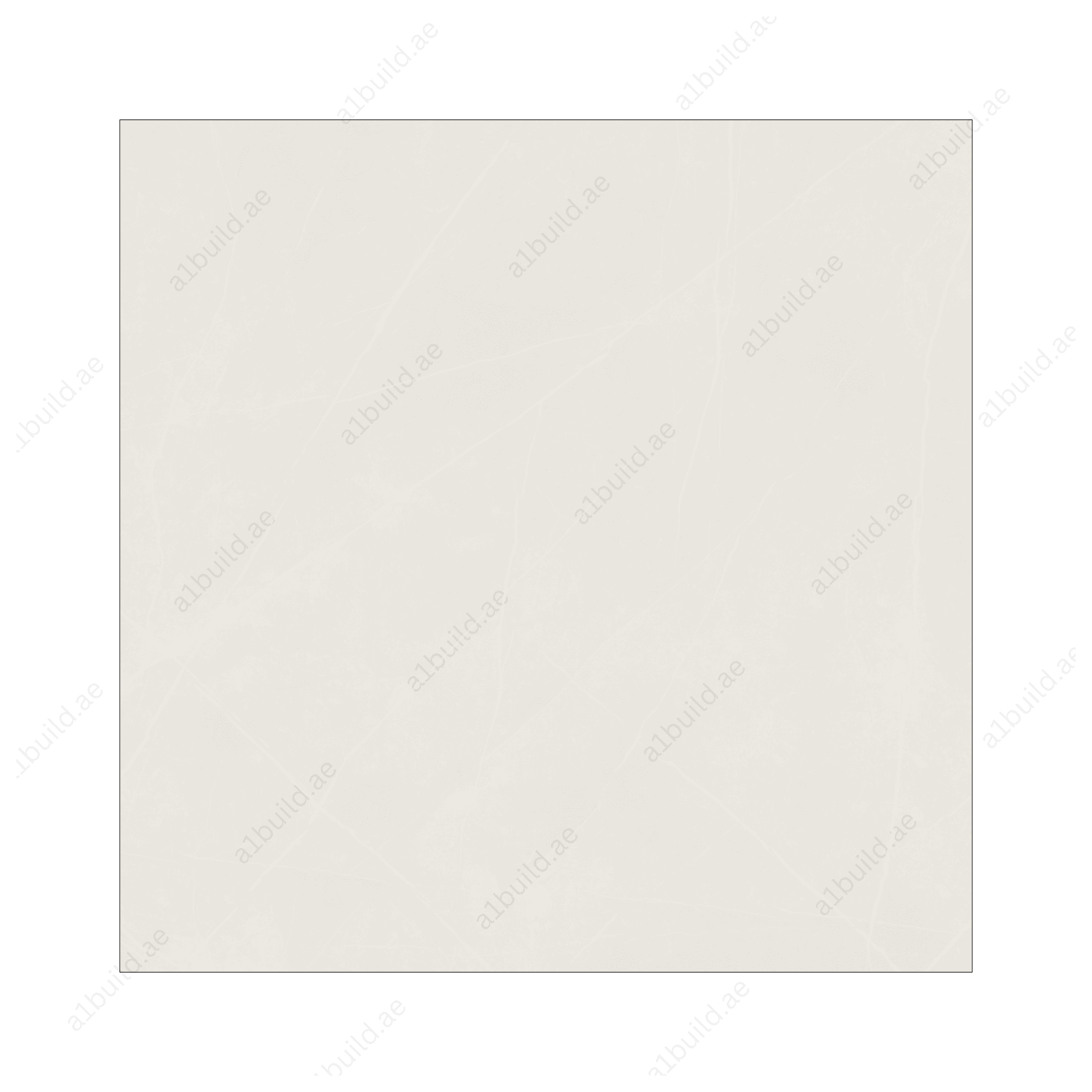 Liem Bianco (120X120cm 09mm Random Polished Porcelain Tiles for Indoor Spaces)