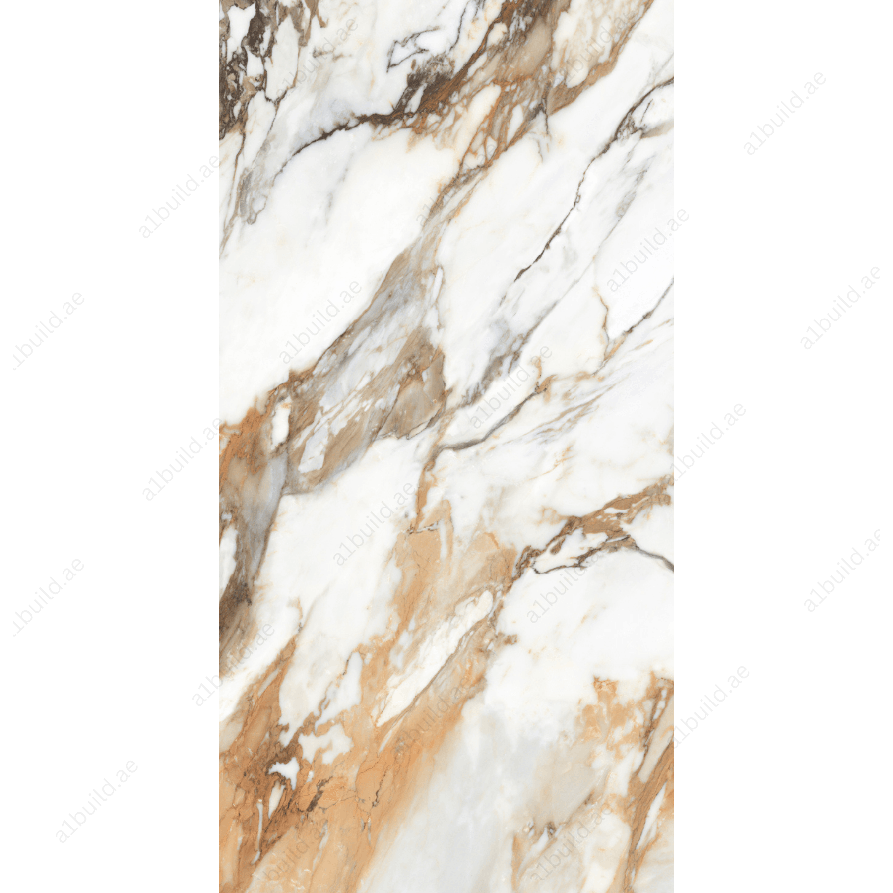 Machia Vechia High Gloss Book Match Porcelain Slabs | 120x240cm