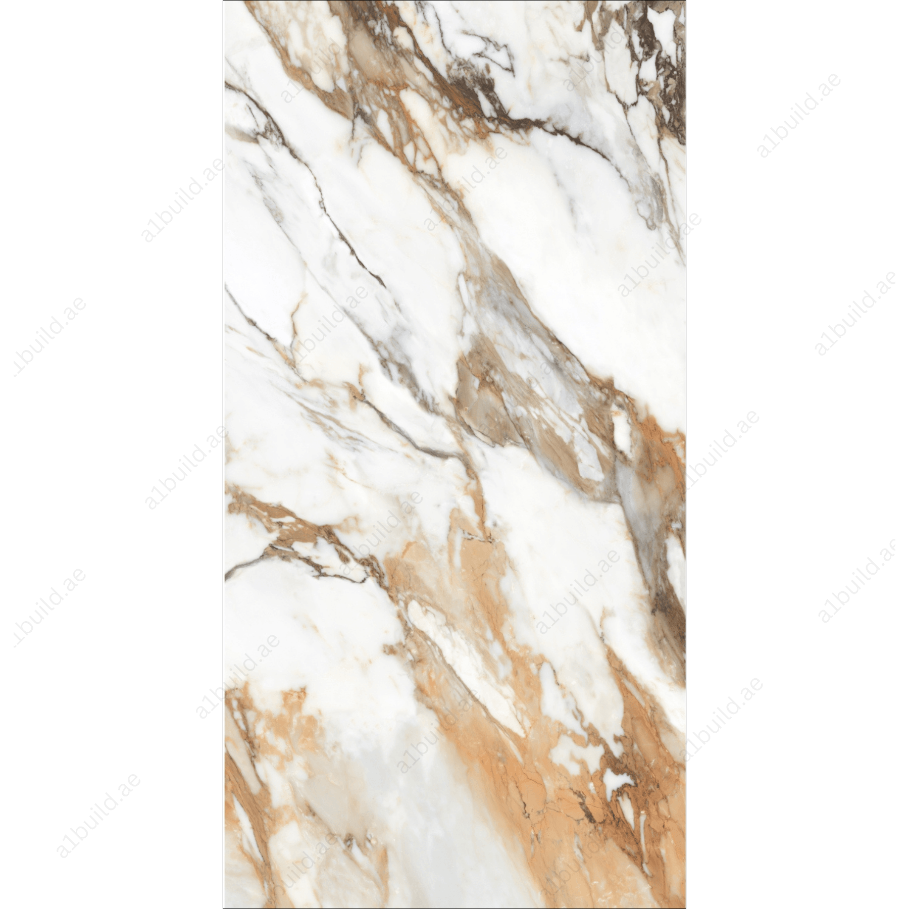 Machia Vechia High Gloss Book Match Porcelain Slabs | 120x240cm