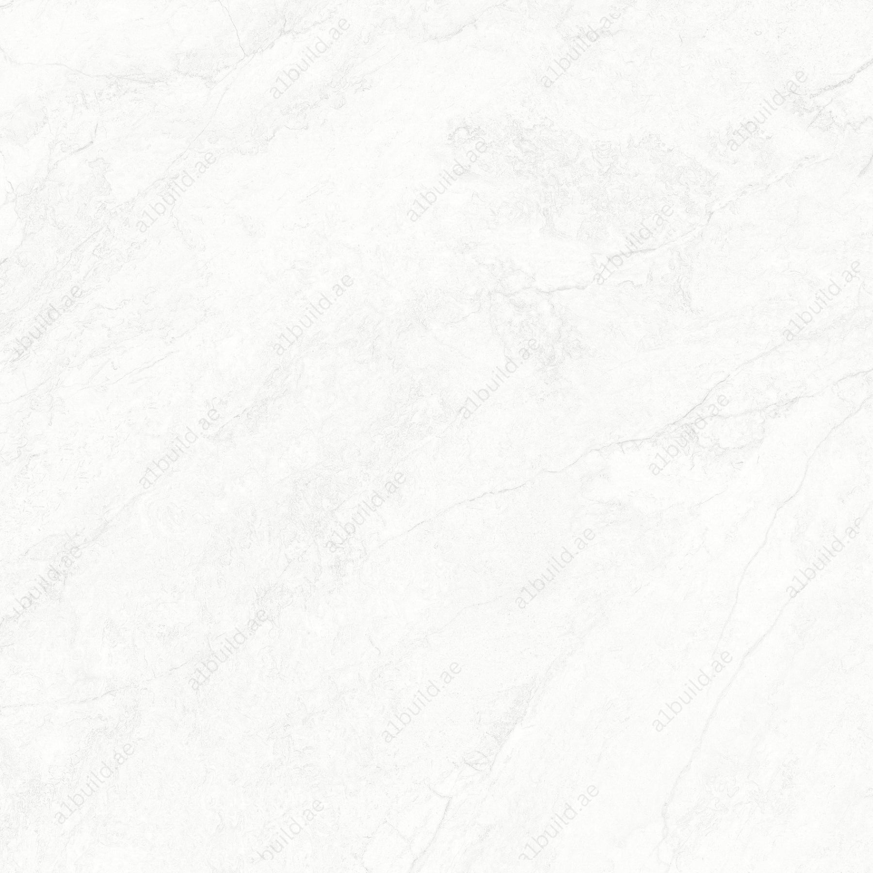 Onido Bianco (60X120cm 09mm Random Carving Matt Finish Porcelain Indoor Floor & Wall Tiles)