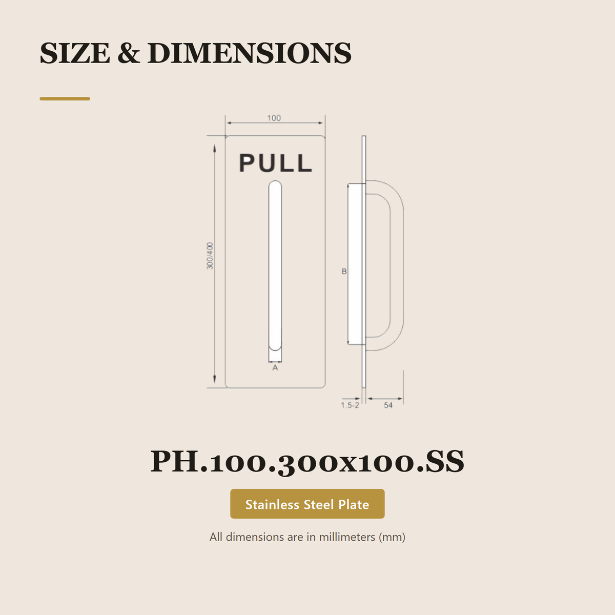 PH.100.300x100 – Premium Stainless Steel Pull Plate
