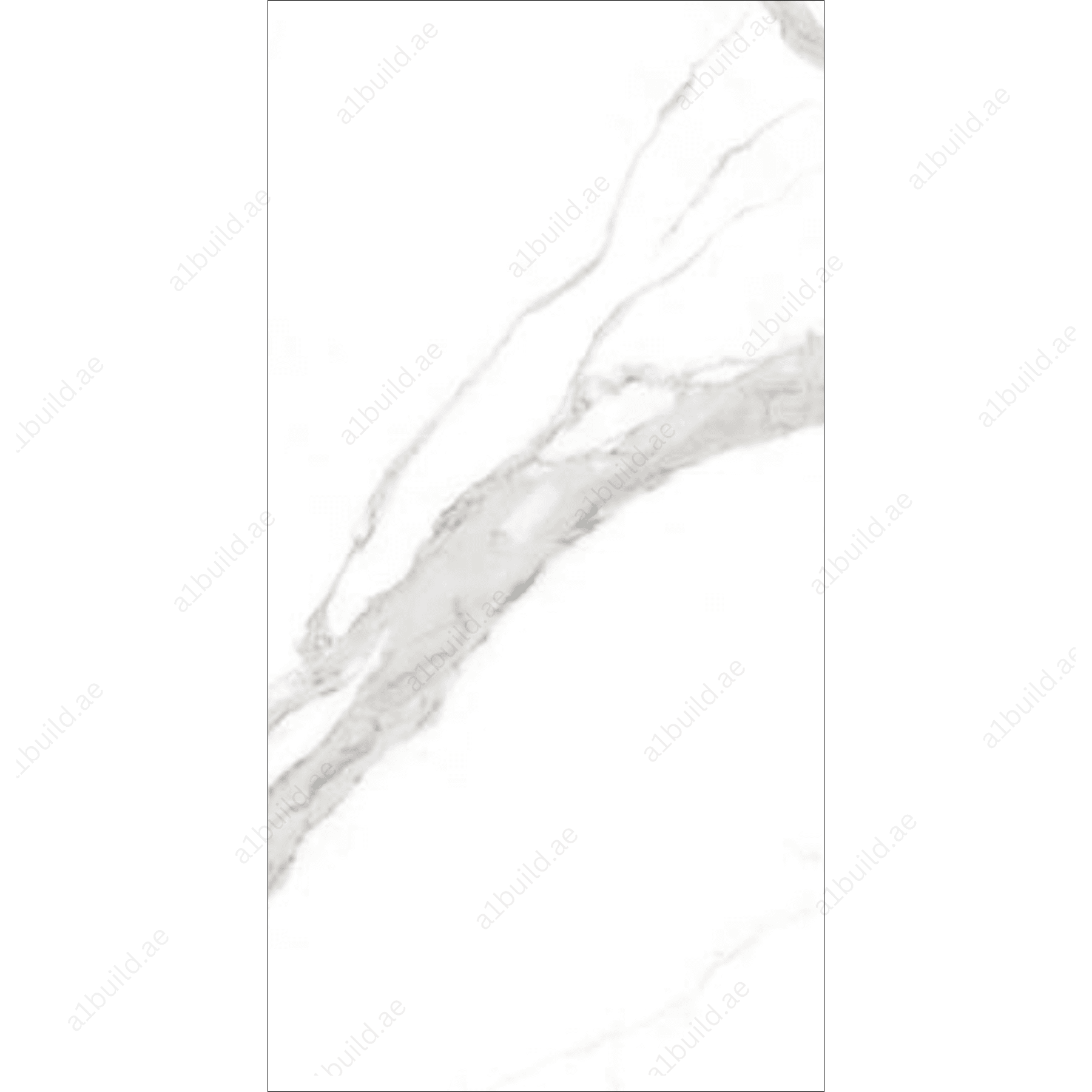 Regato White (120X278cm High Gloss End Match Porcelain Slabs)