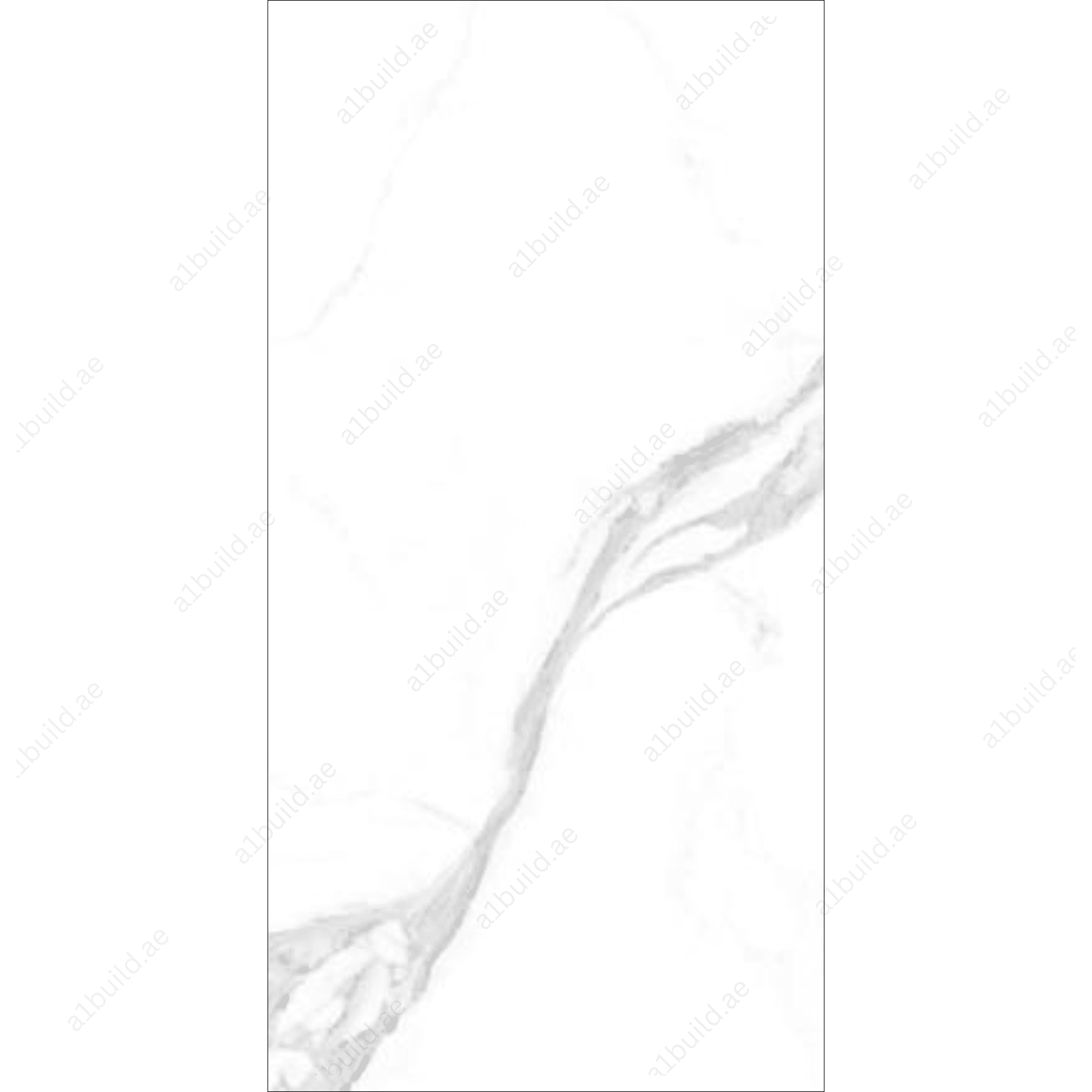 Regato White (120X278cm High Gloss End Match Porcelain Slabs)