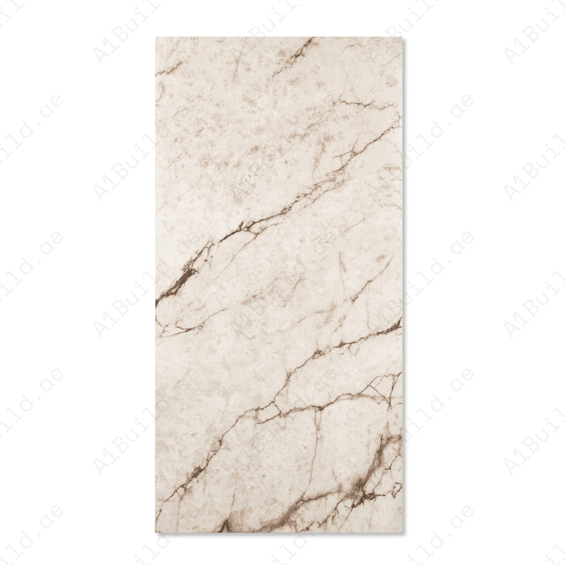 Rociado porcelain tile 60x120cm 9mm thickness, light grey marble look design, durable porcelain tile ideal for modern floors and walls.