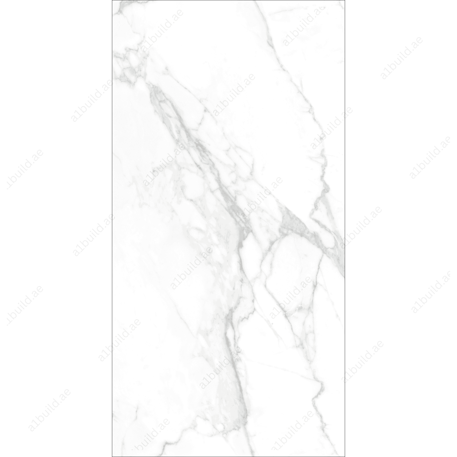 Statuario Vivian High Gloss Porcelain Slabs | 120x240cm White & Grey Tiles for Luxurious Interiors