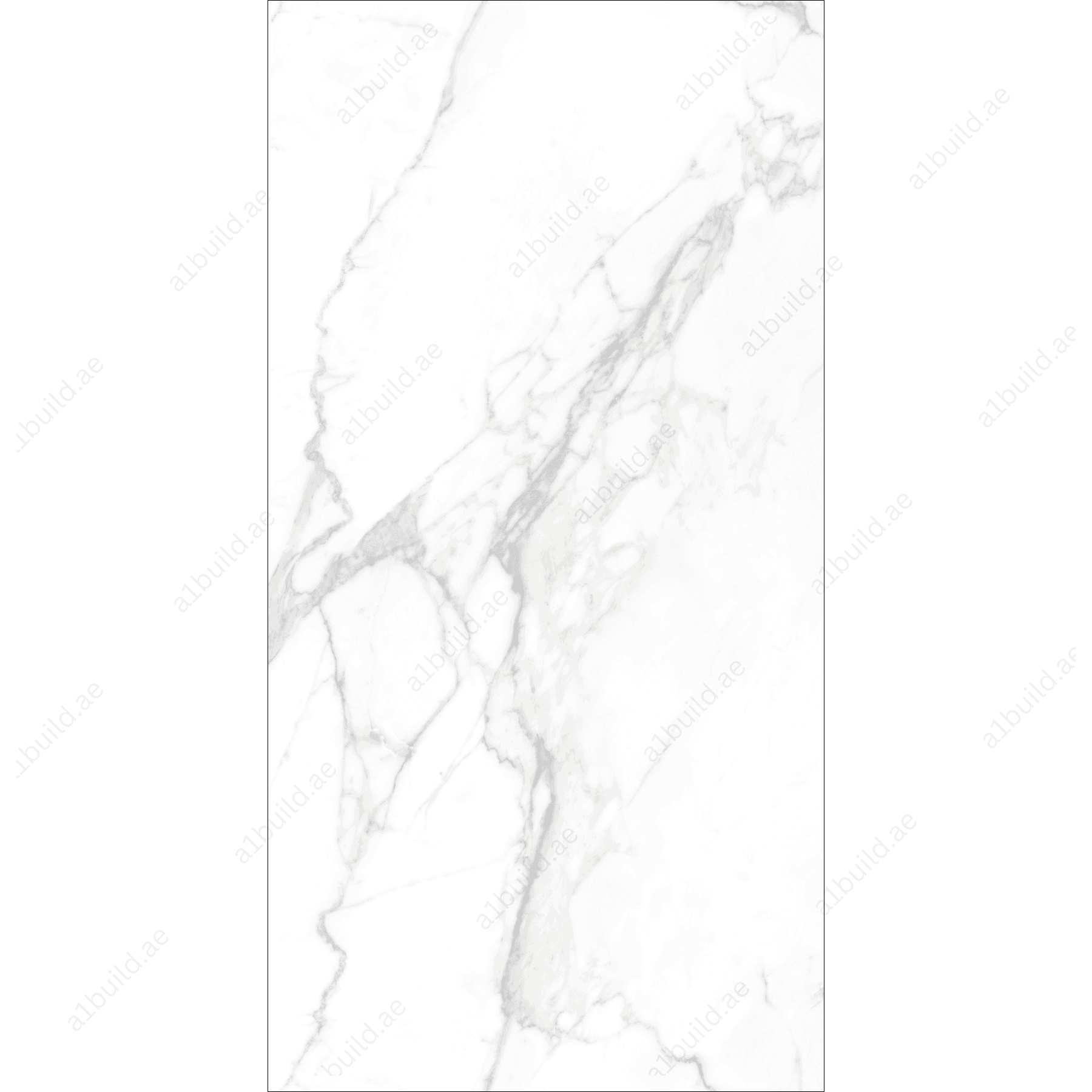 Statuario Vivian High Gloss Porcelain Slabs | 120x240cm White & Grey Tiles for Luxurious Interiors