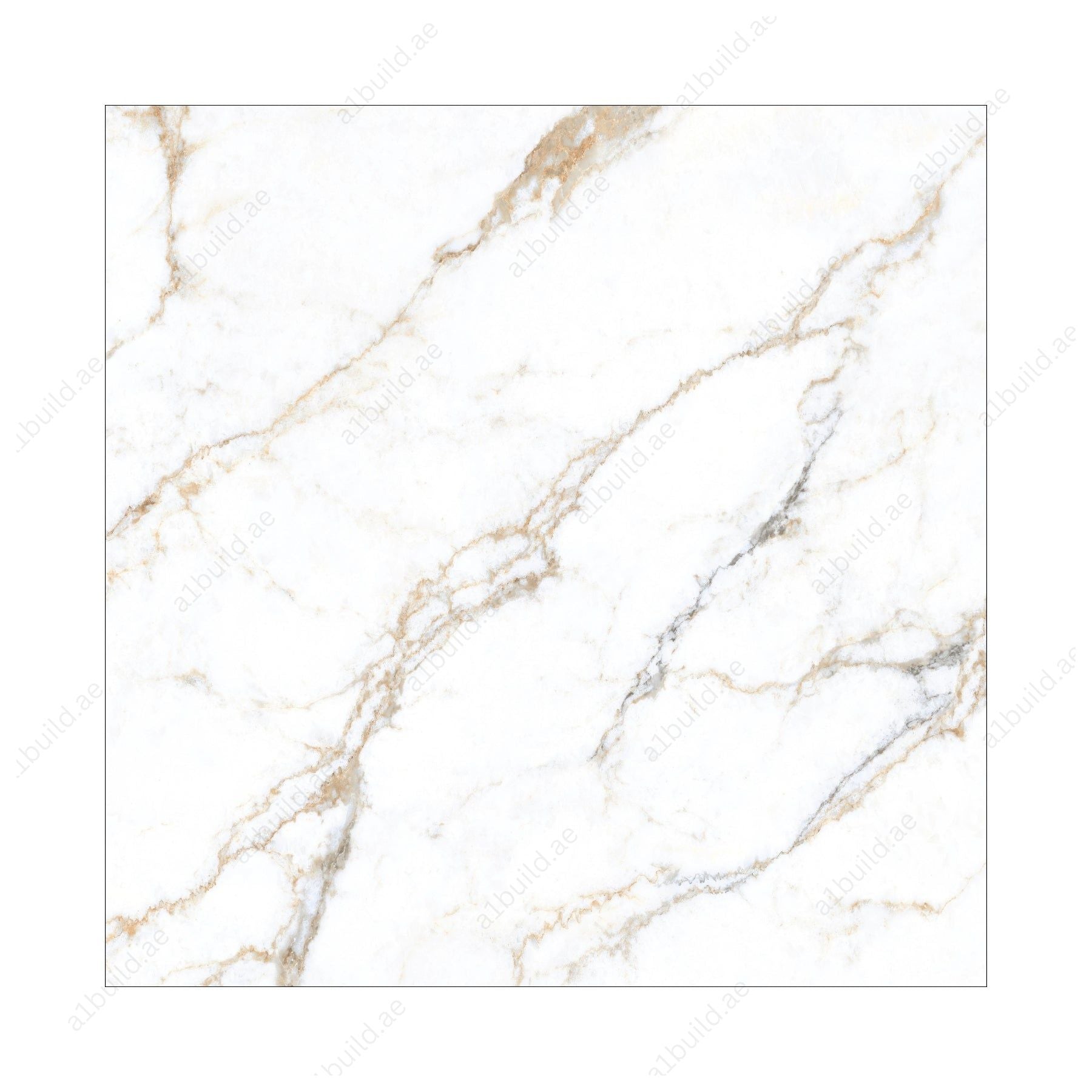 Signora (120X120cm 09mm Random Polished Porcelain Tiles for Indoor Spaces)