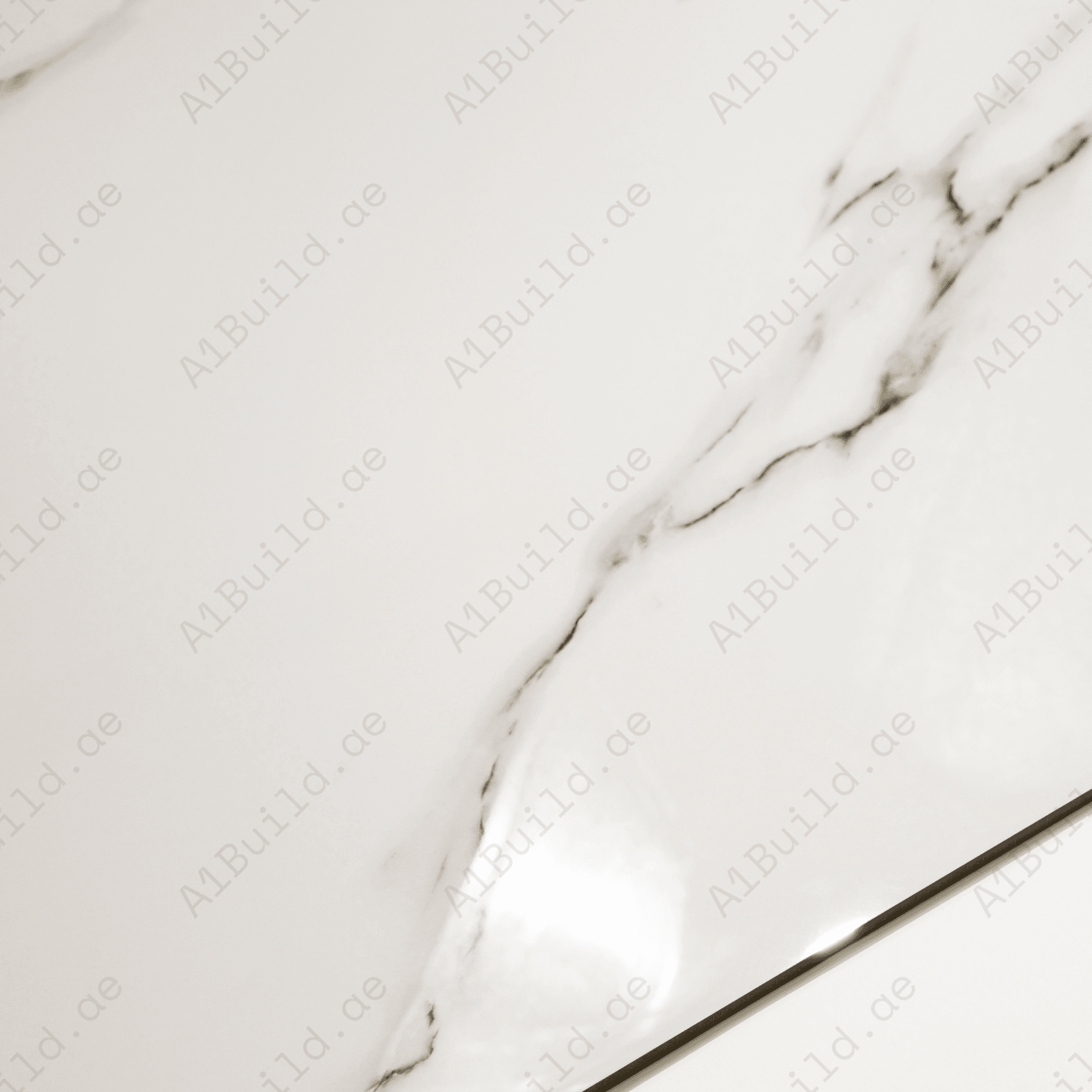Silver Mist Vein porcelain tile 60x120cm 9mm thickness, light grey marble look design, durable porcelain tile for modern floors and walls.