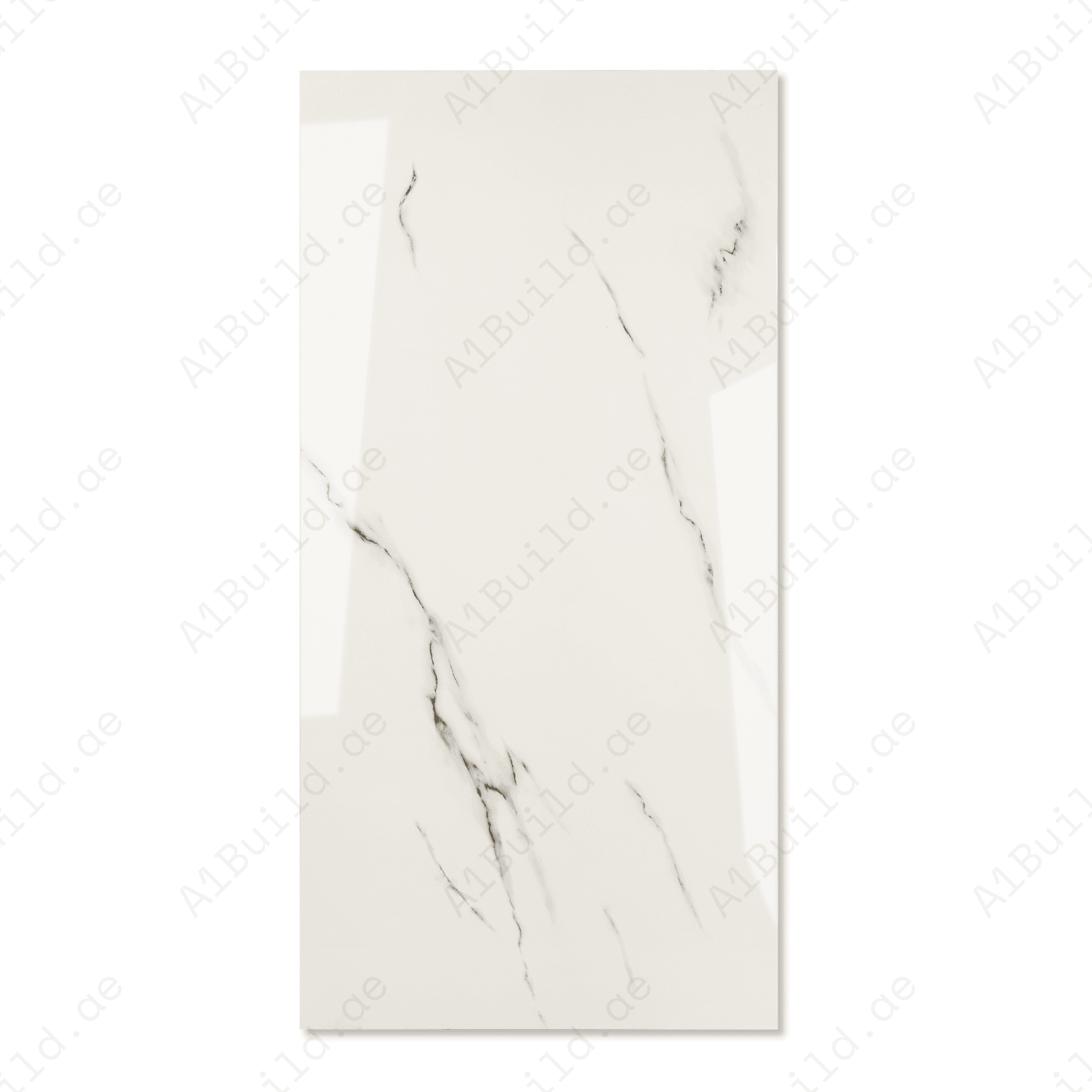 Silver Mist Vein porcelain tile 60x120cm 9mm thickness, light grey marble look design, durable porcelain tile for modern floors and walls.
