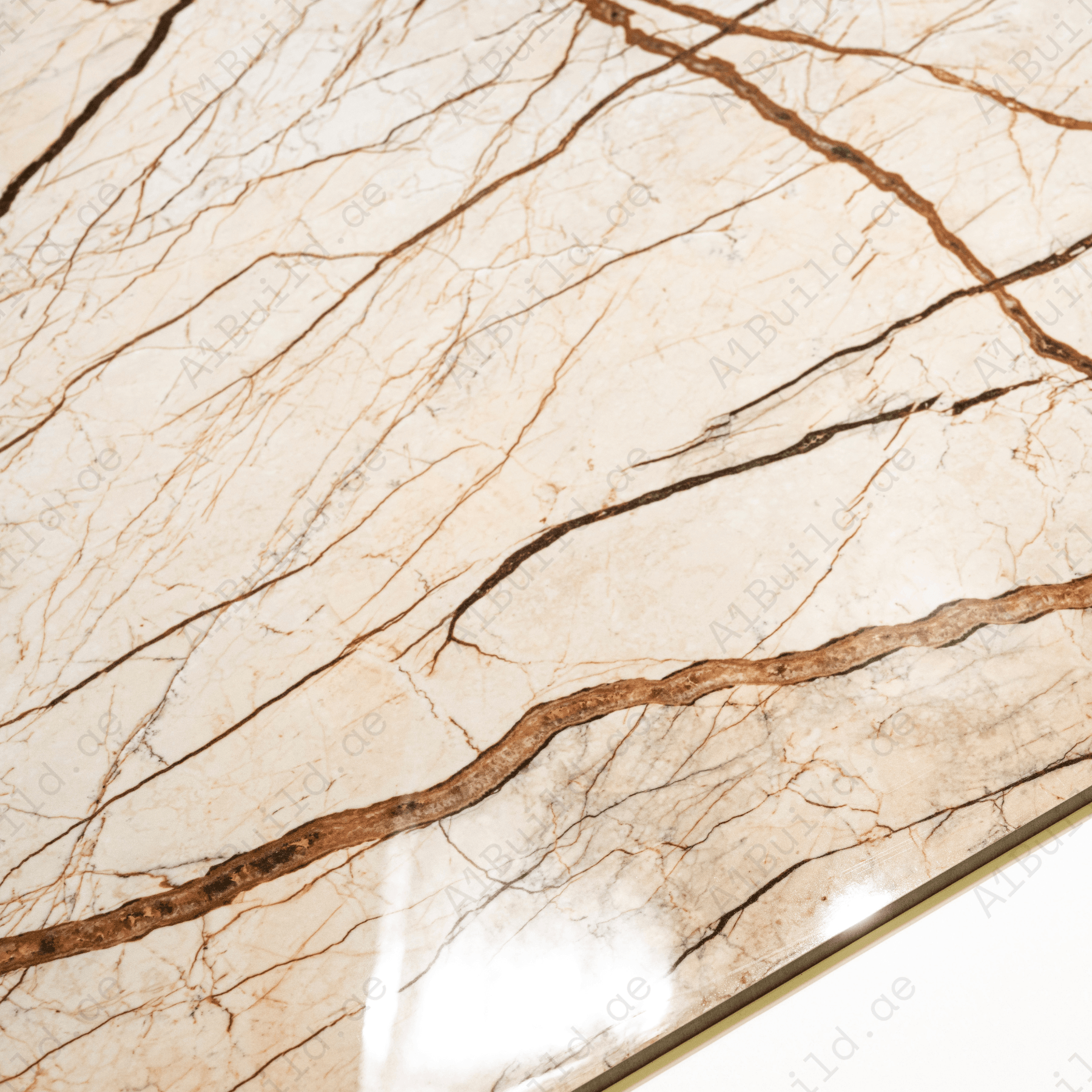 Sofitel porcelain tile 60x120cm 9mm thickness, marble look design, durable porcelain tile ideal for stylish floors and walls.