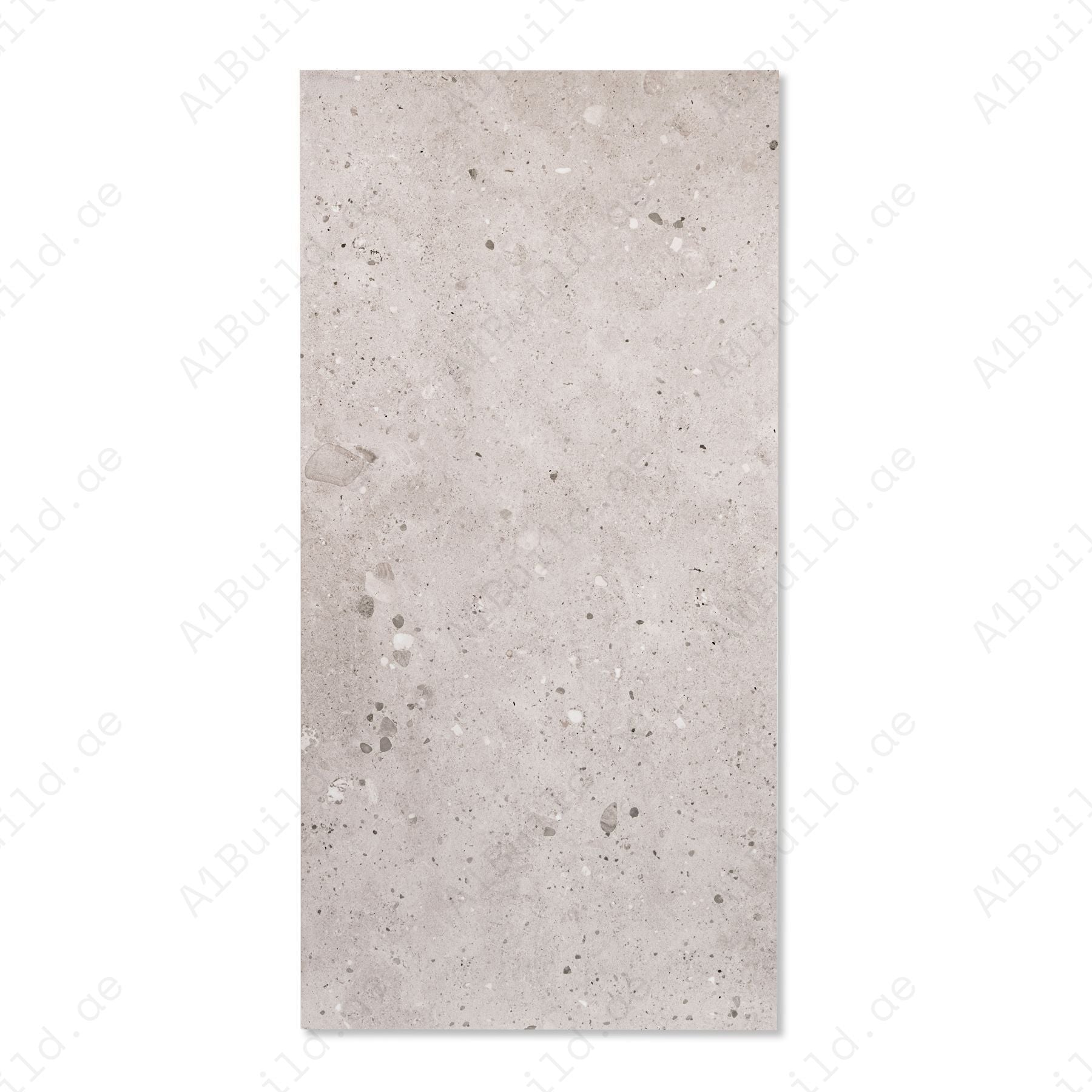 Sparkle Roman Sand porcelain tile with warm sand tones, subtle sparkle and 60x120cm large format for elegant interiors.