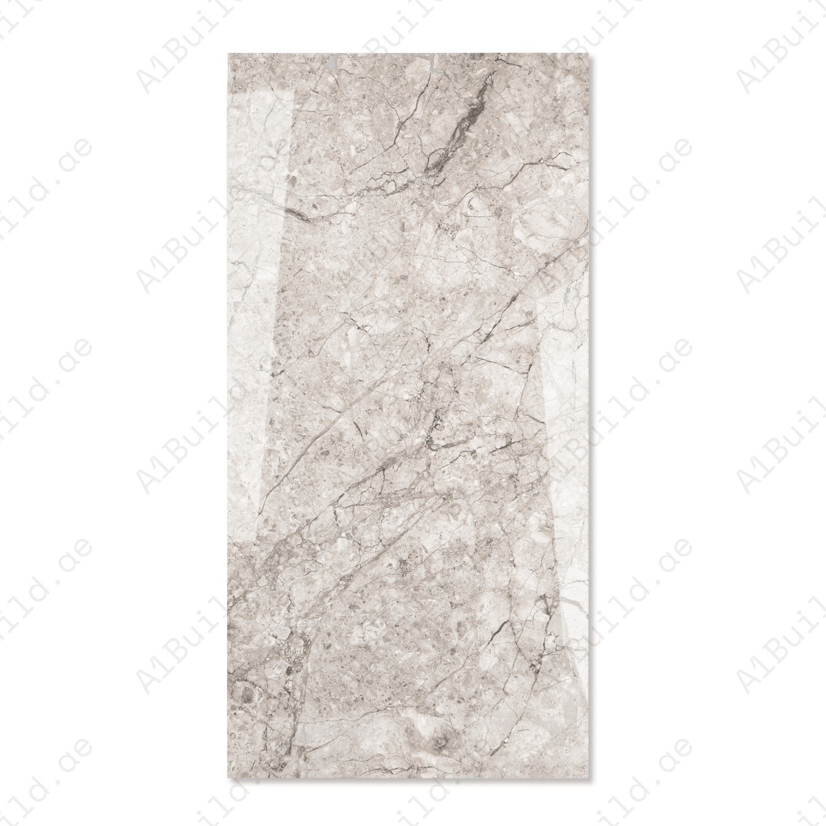 Turkish William Marble Look Porcelain Tile 60x120cm 9mm