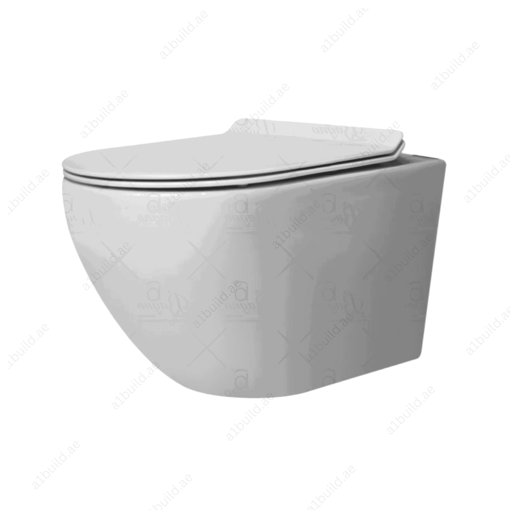 WallHungWaterClosetPremiumQualityWhiteContemporaryBathroomFixture_2